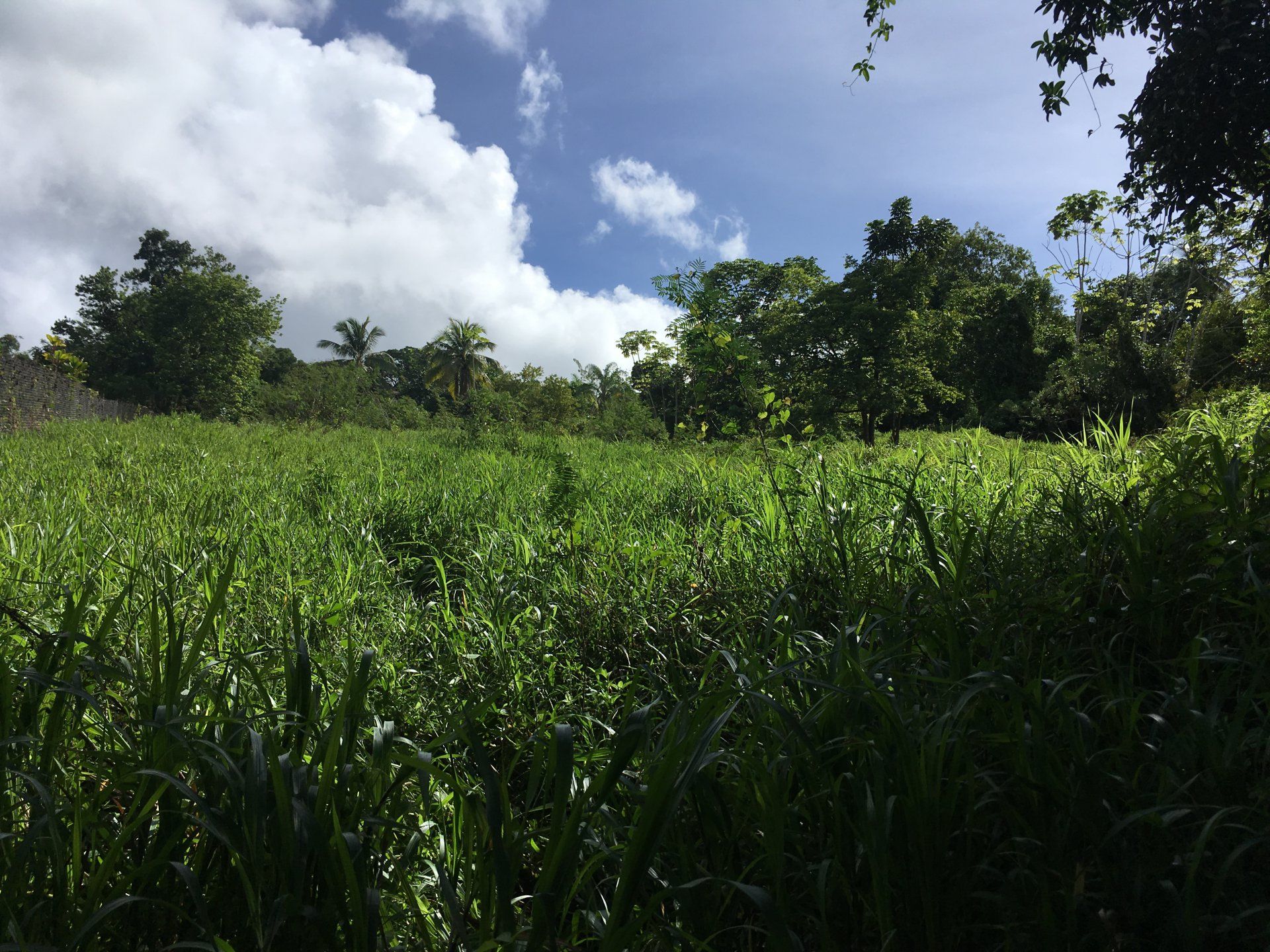 Maa sisään Le Lamentin, Martinique 10812078