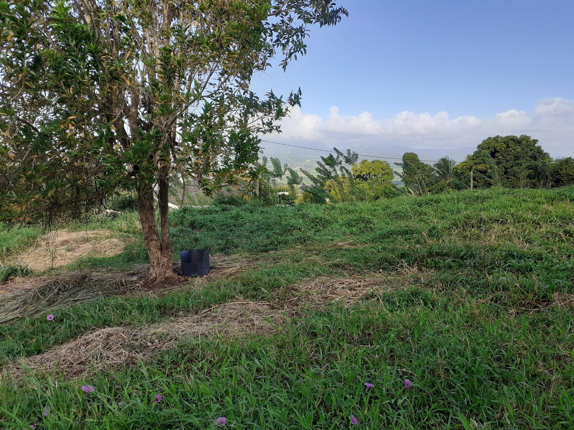 土地 在 Cap Estate, Gros-Islet 10812095