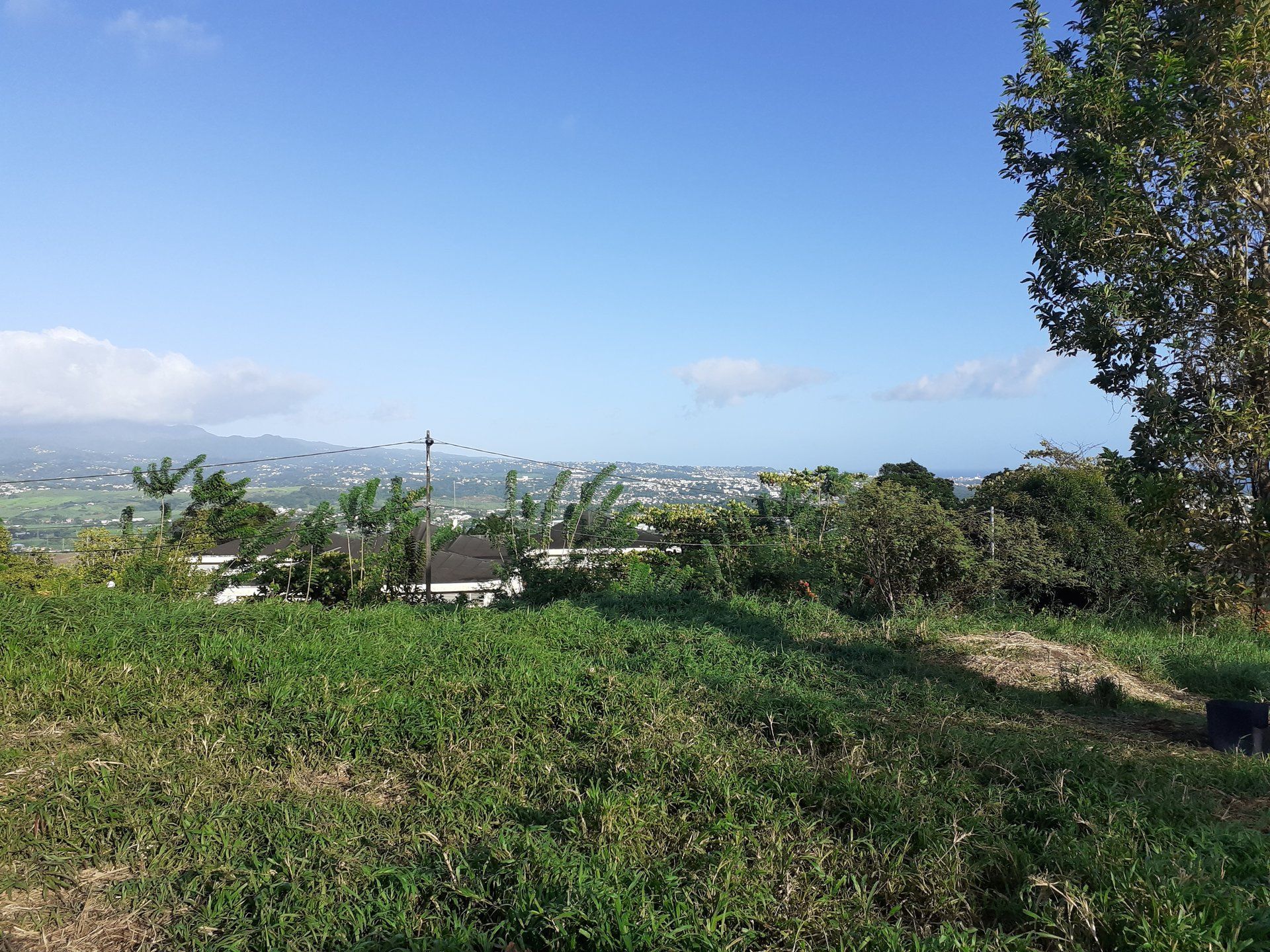 Terre dans Cap Estate, Gros-Islet 10812095