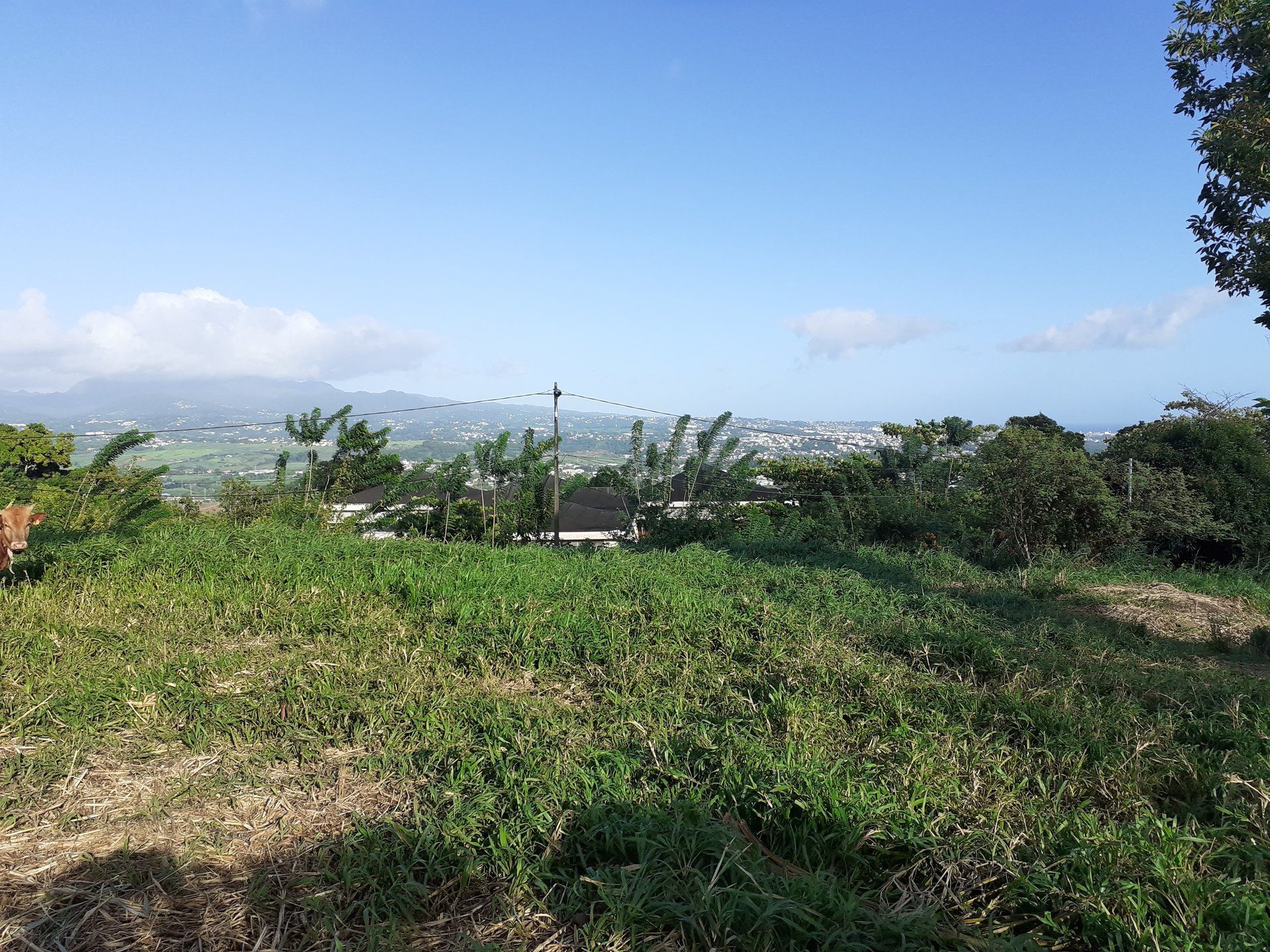 Maa sisään Cap Estate, Gros-Islet 10812095