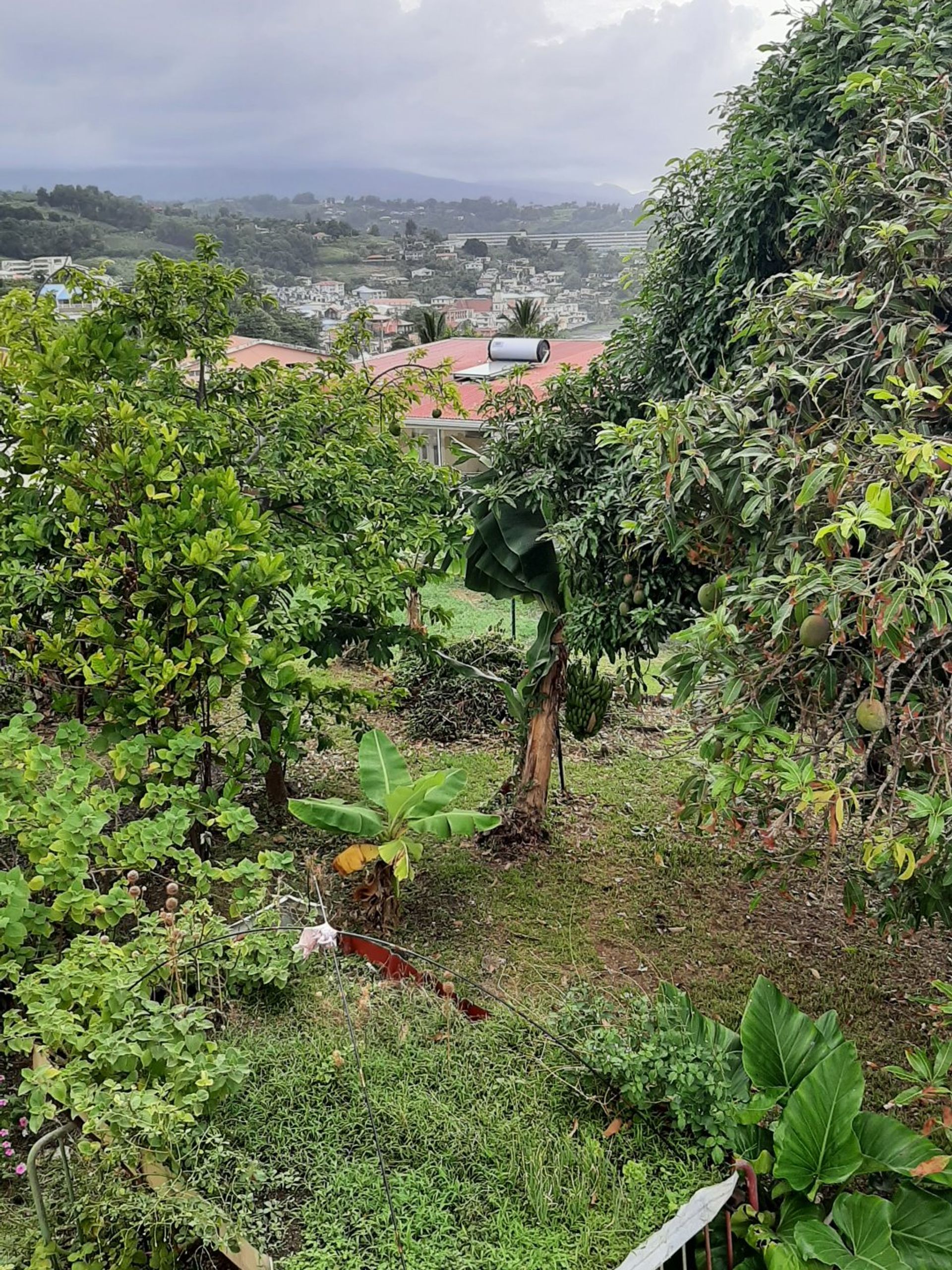 σπίτι σε Le Lorrain, Martinique 10812109