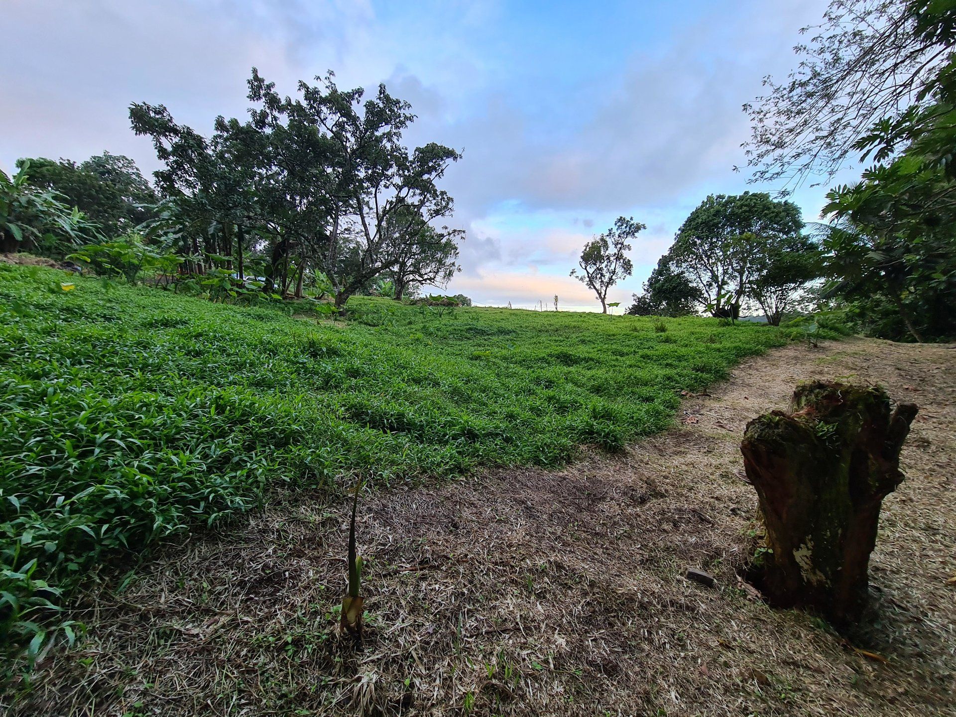 Land i Cap Estate, Gros-Islet 10812198