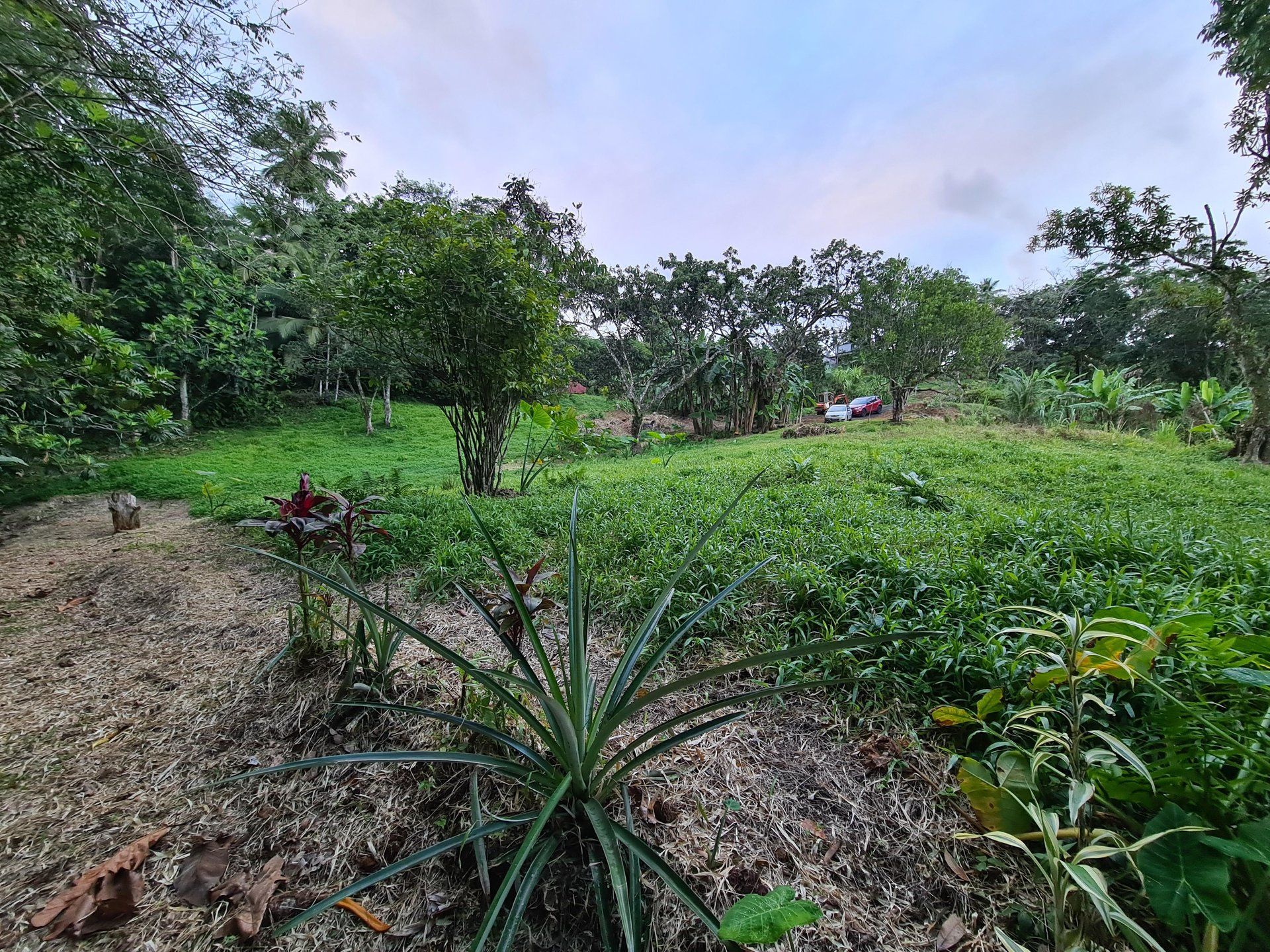 Maa sisään Cap Estate, Gros-Islet 10812198