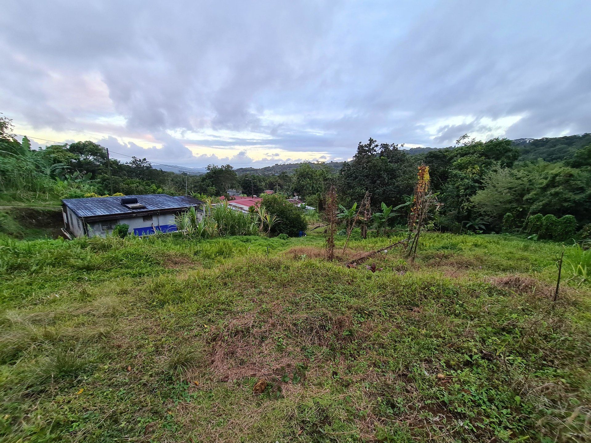 Tanah dalam Gros-Morne, Martinique 10812198