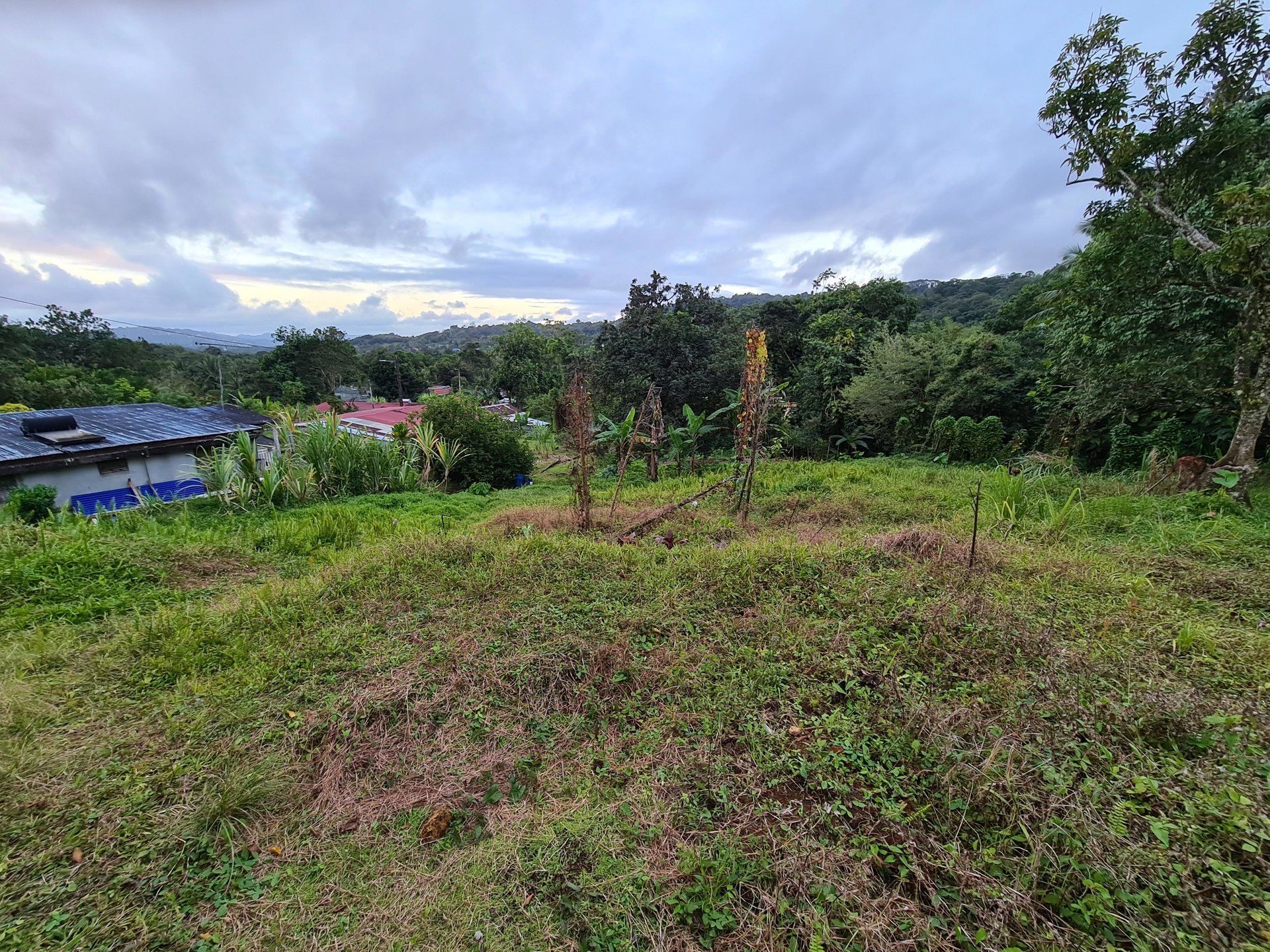 Tanah di Gros-Morne, Martinique 10812198