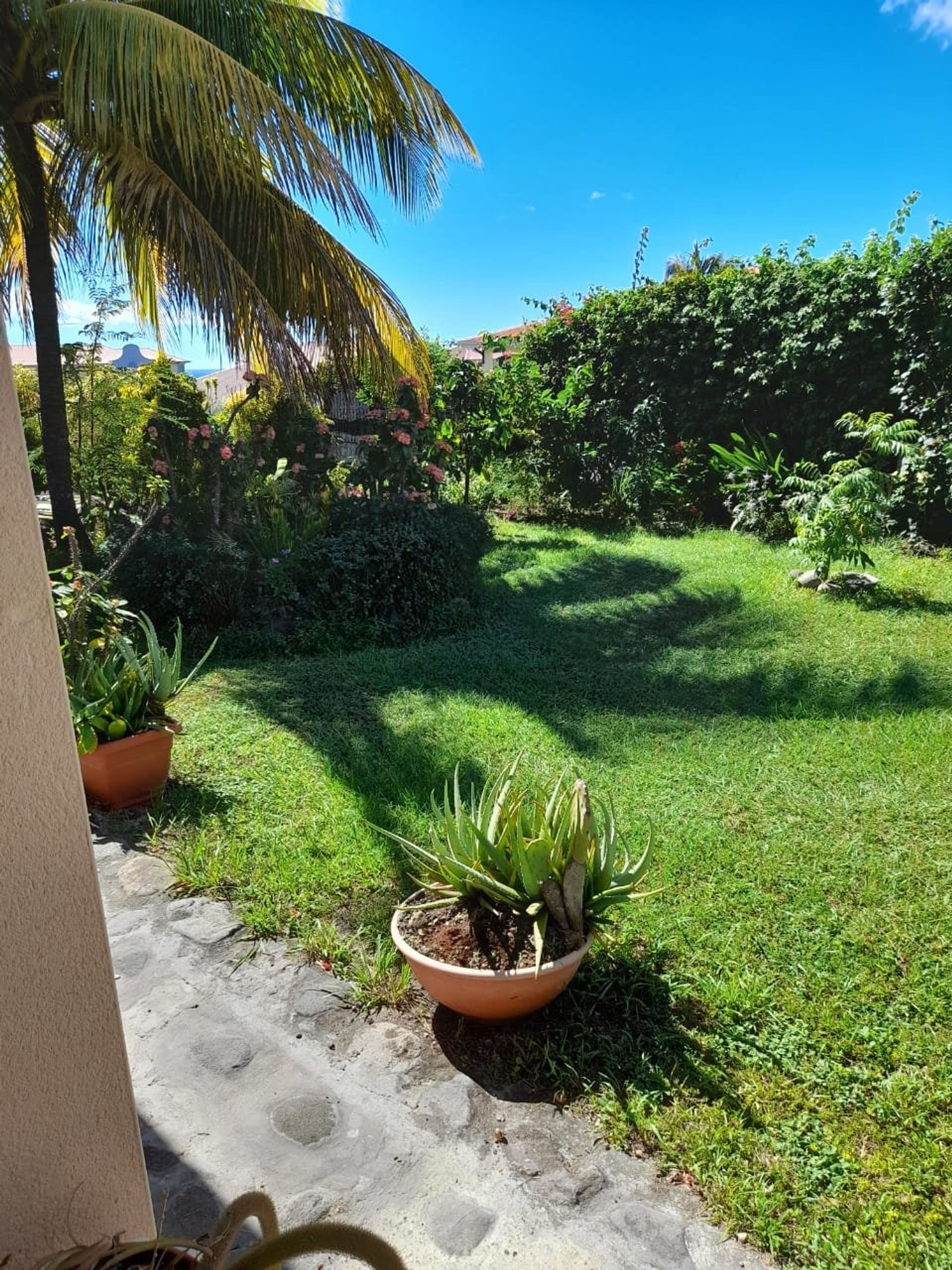 Hus i Saint-Pierre, Martinique 10812282