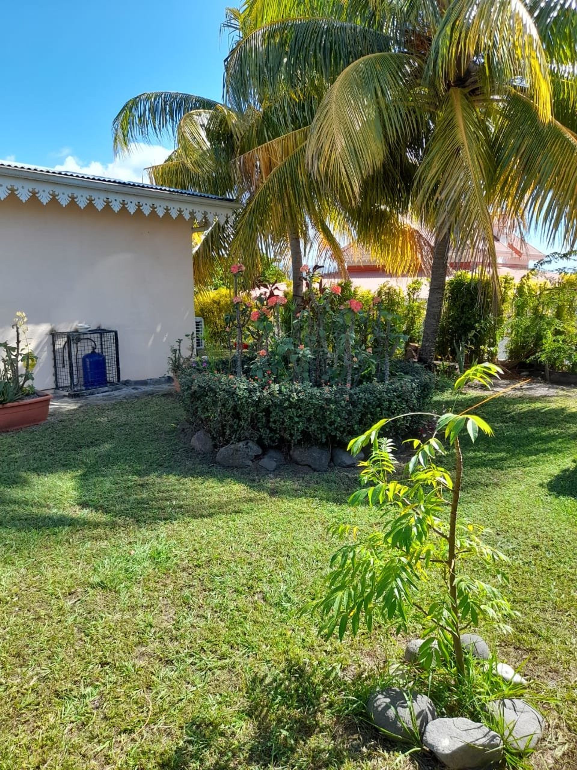 House in Saint-Pierre, Martinique 10812282