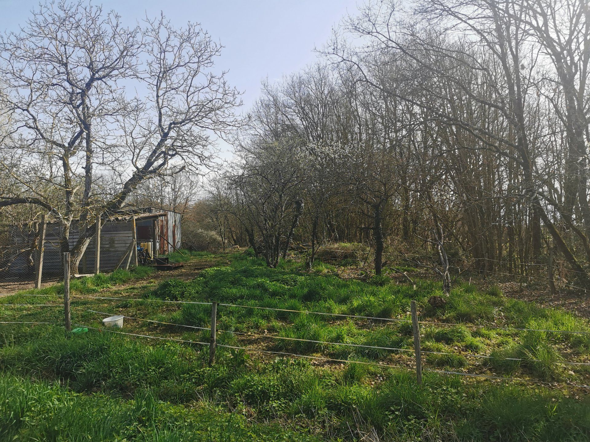 Casa nel Le Blanc, Centre-Val de Loire 10813088