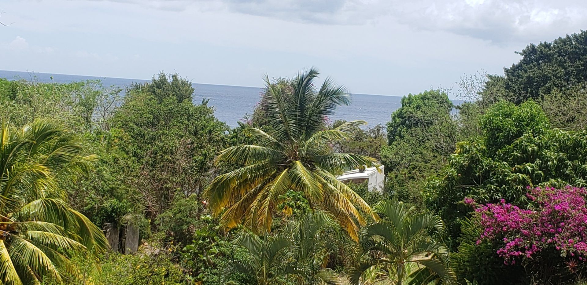 Haus im Case-Pilote, Martinique 10813318