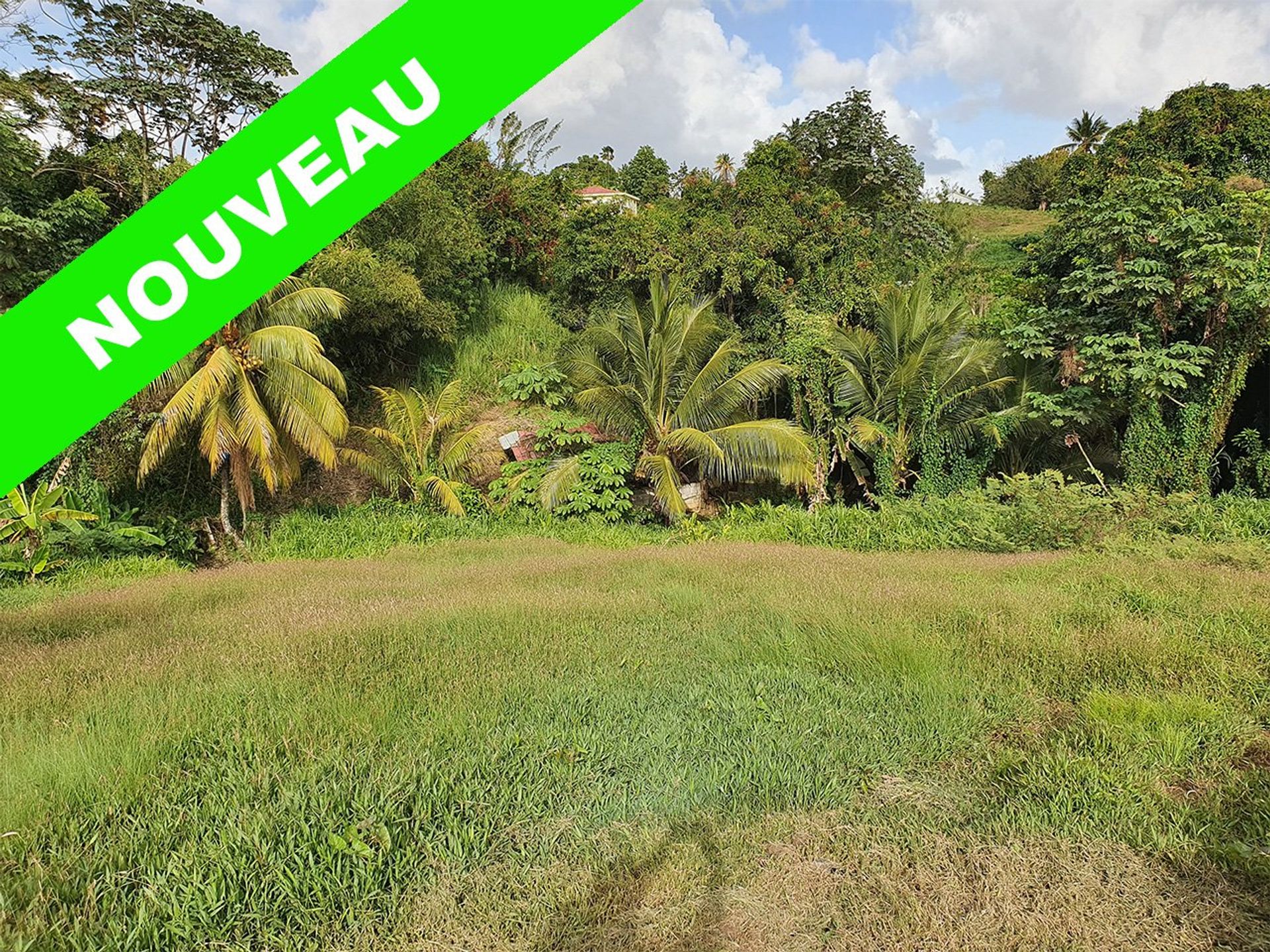 الأرض في Cap Estate, Gros-Islet 10813388