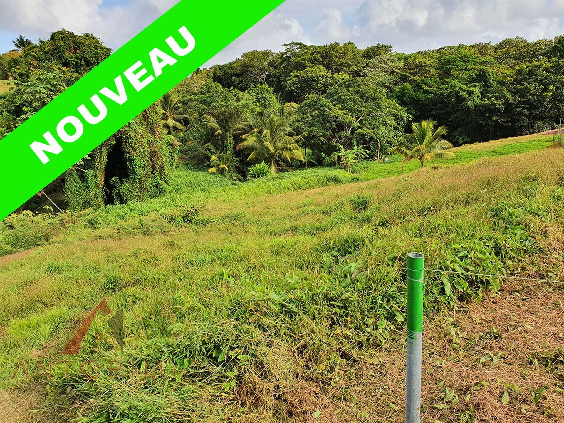 Land in Cap Estate, Gros-Islet 10813388