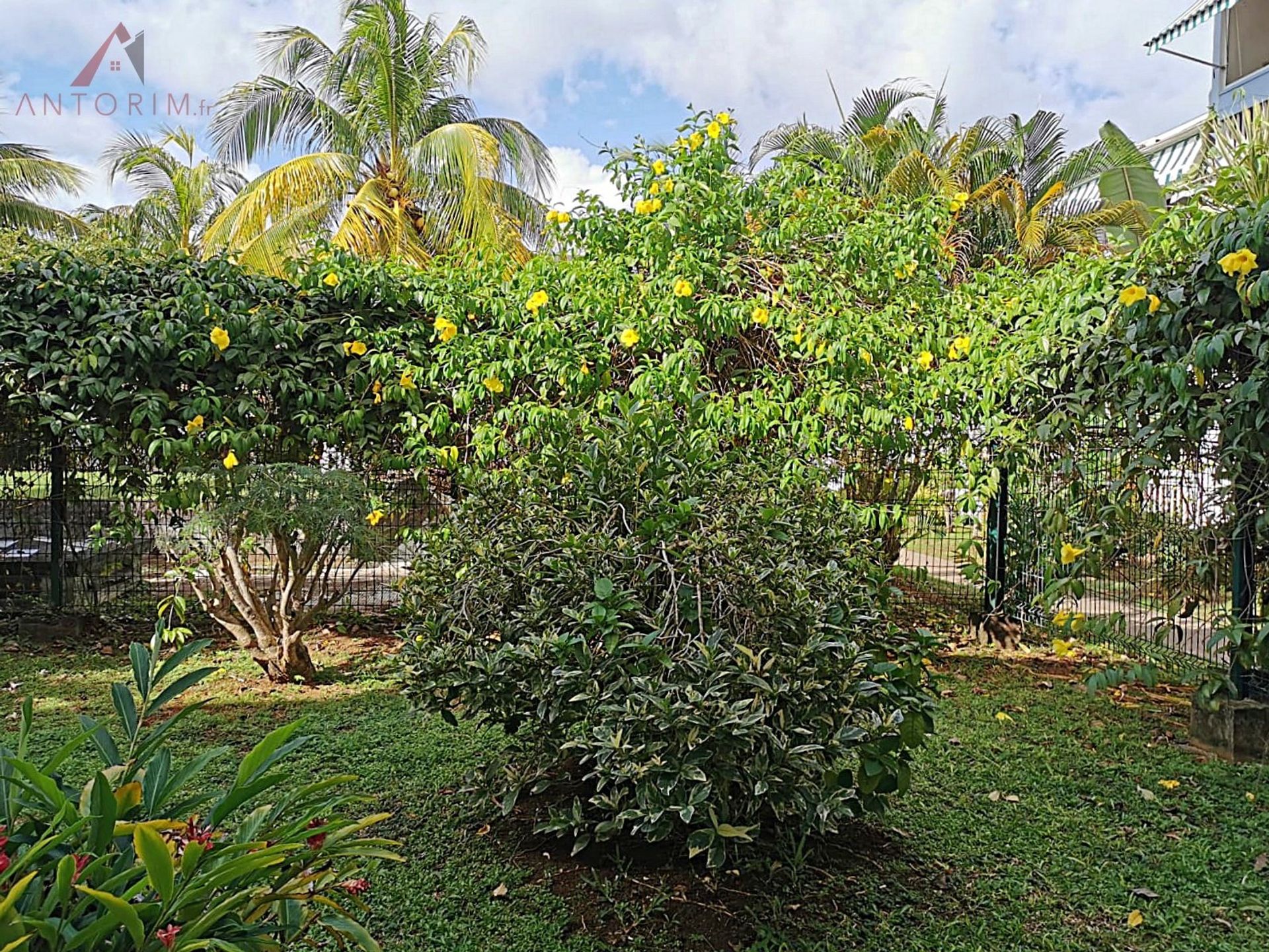 Kondominium dalam Les Trois-Îlets, Martinique 10813416