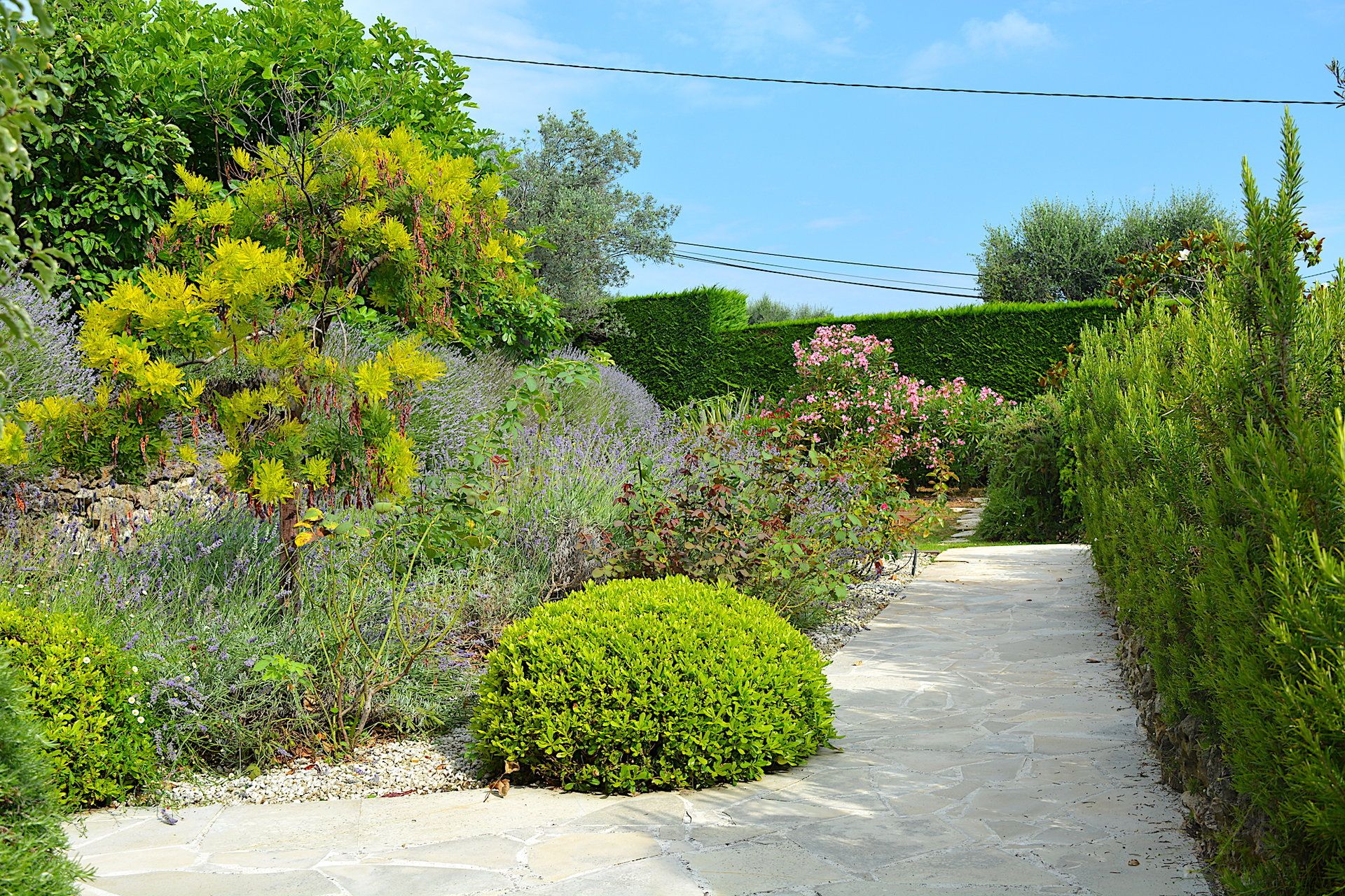 casa en Biot, Alpes-Maritimes 10813952