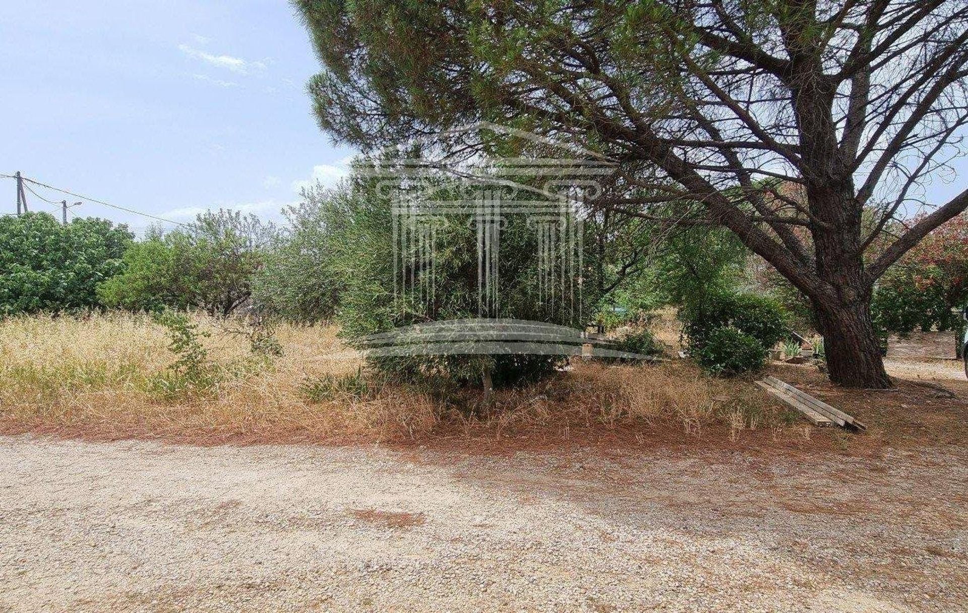 Land in Sorgues, Provence-Alpes-Cote d'Azur 10814209