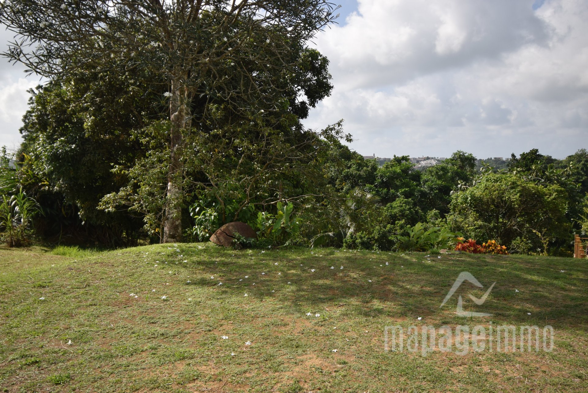 Land in Gros-Morne, Martinique 10814557