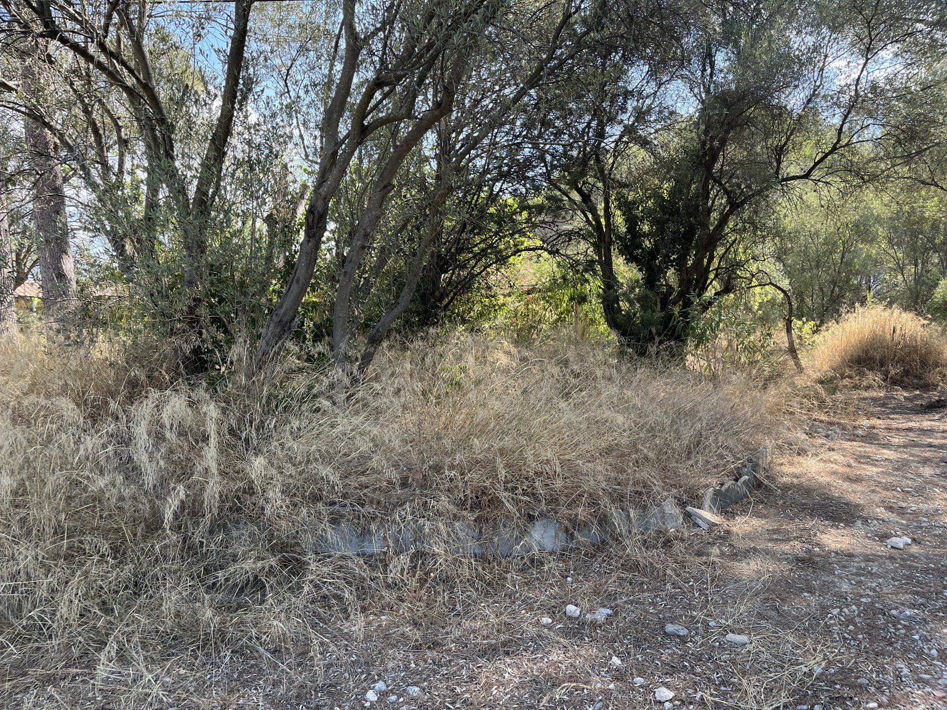 Terre dans Saint Pierre, Provence-Alpes-Côte d'Azur 10814676