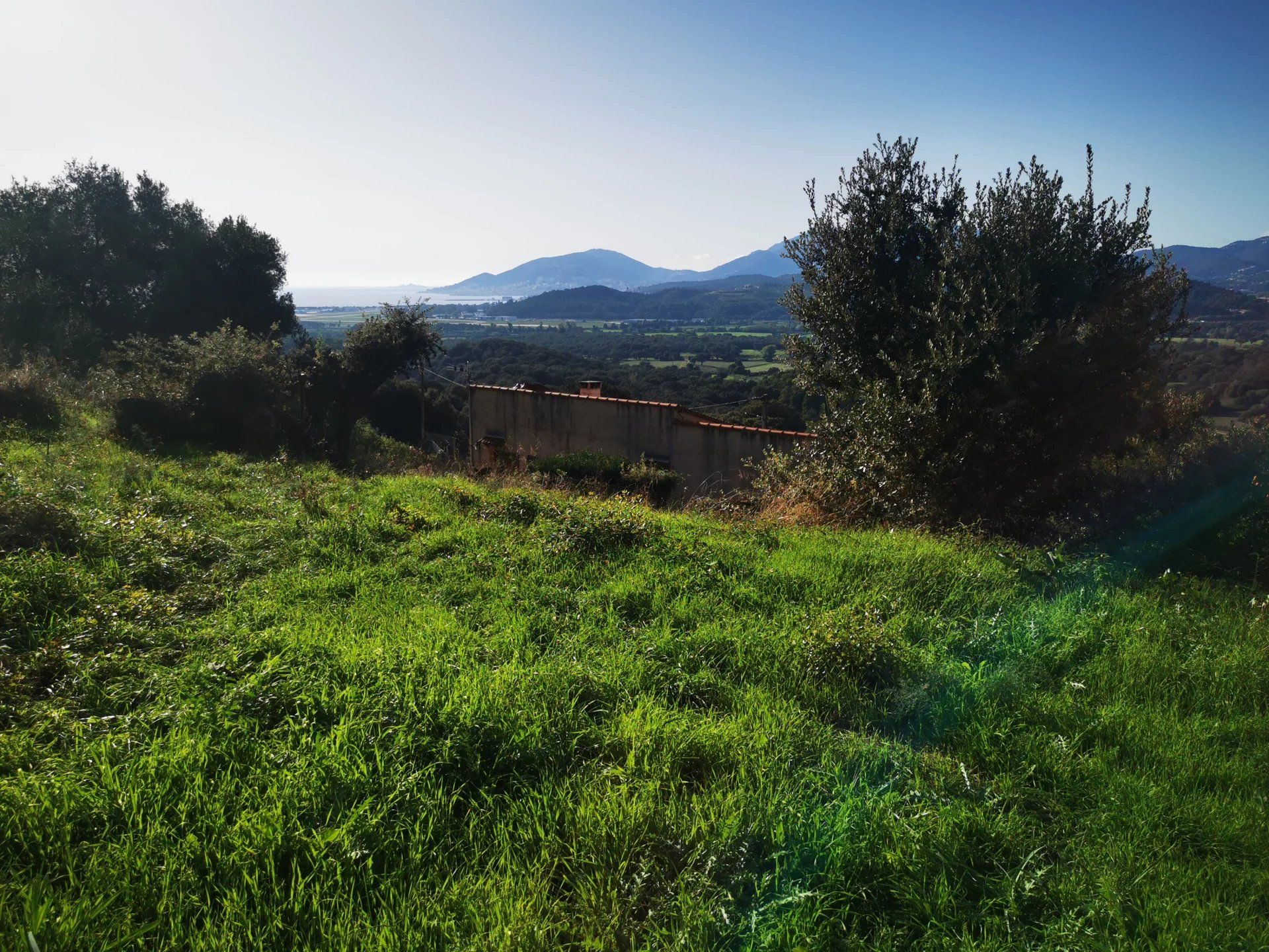 व्यावसायिक में Bastelicaccia, Corse-du-Sud 10815128