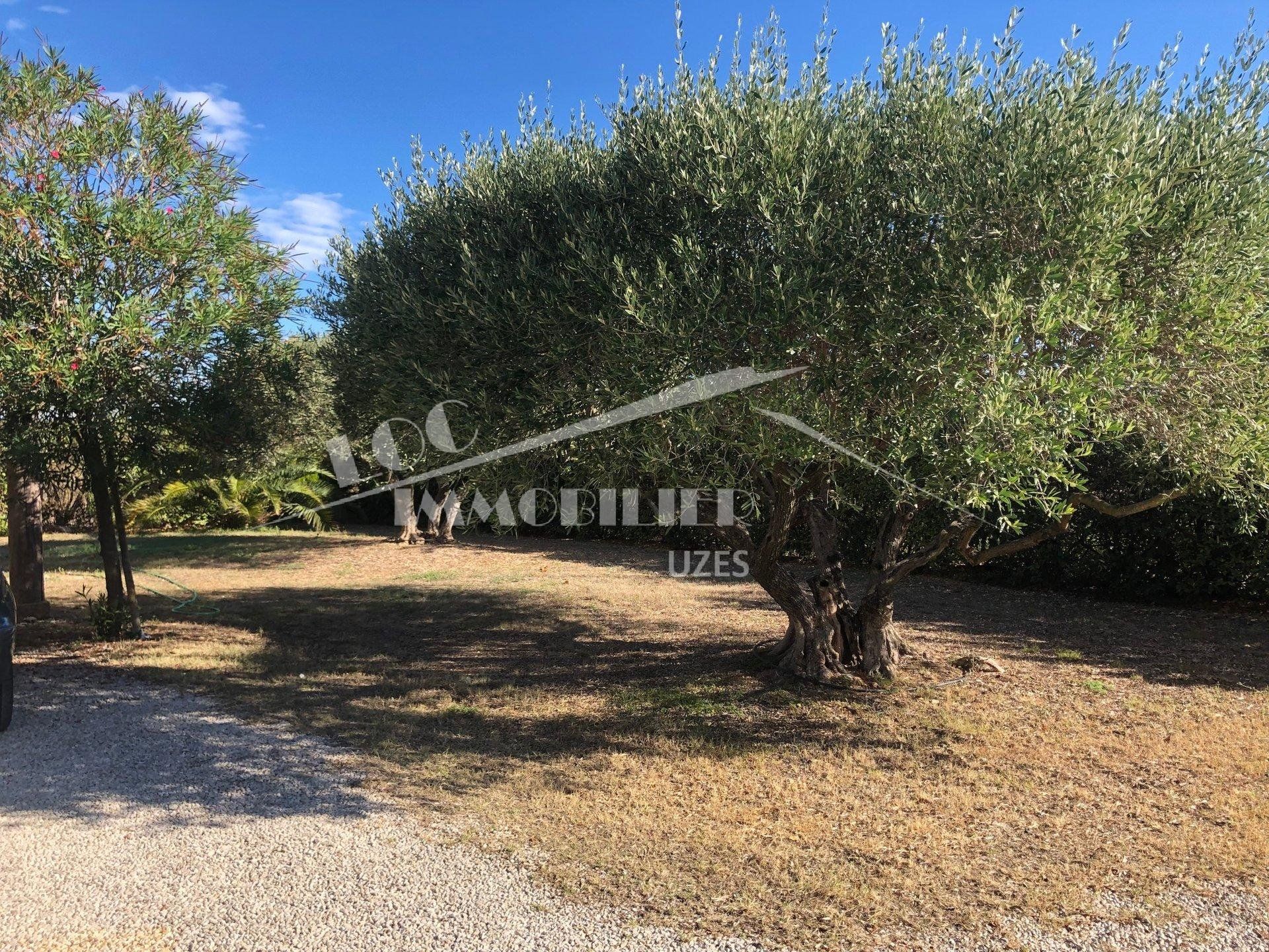 House in Uzès, Gard 10815439