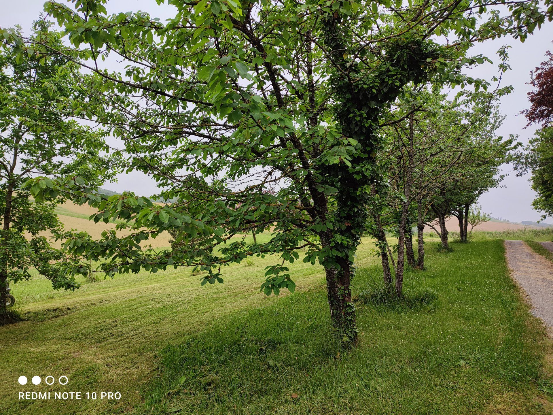 House in Castelnau-Barbarens, Gers 10816118