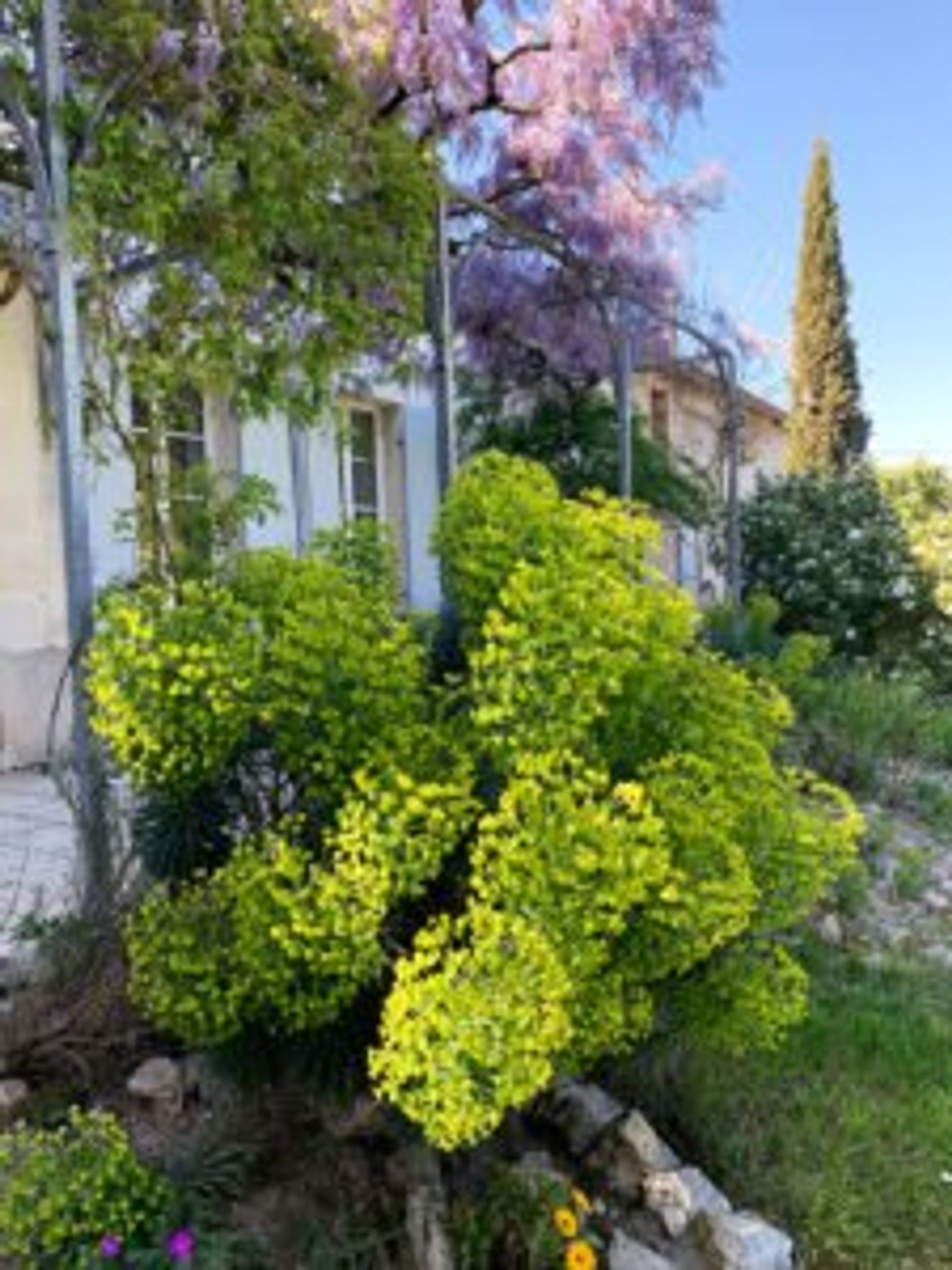 عمارات في Saint-Estèphe, Gironde 10816912