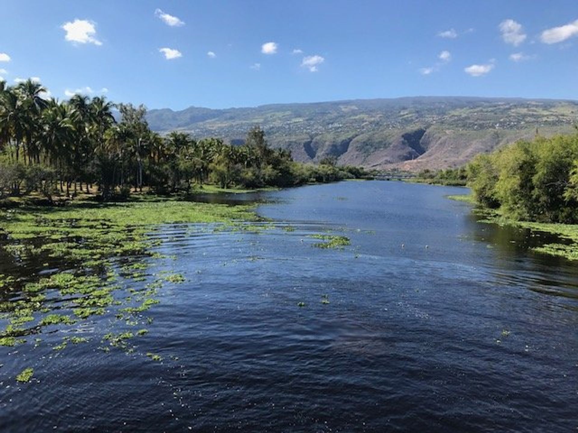 住宅 在 Saint-Paul, La Réunion 10817078