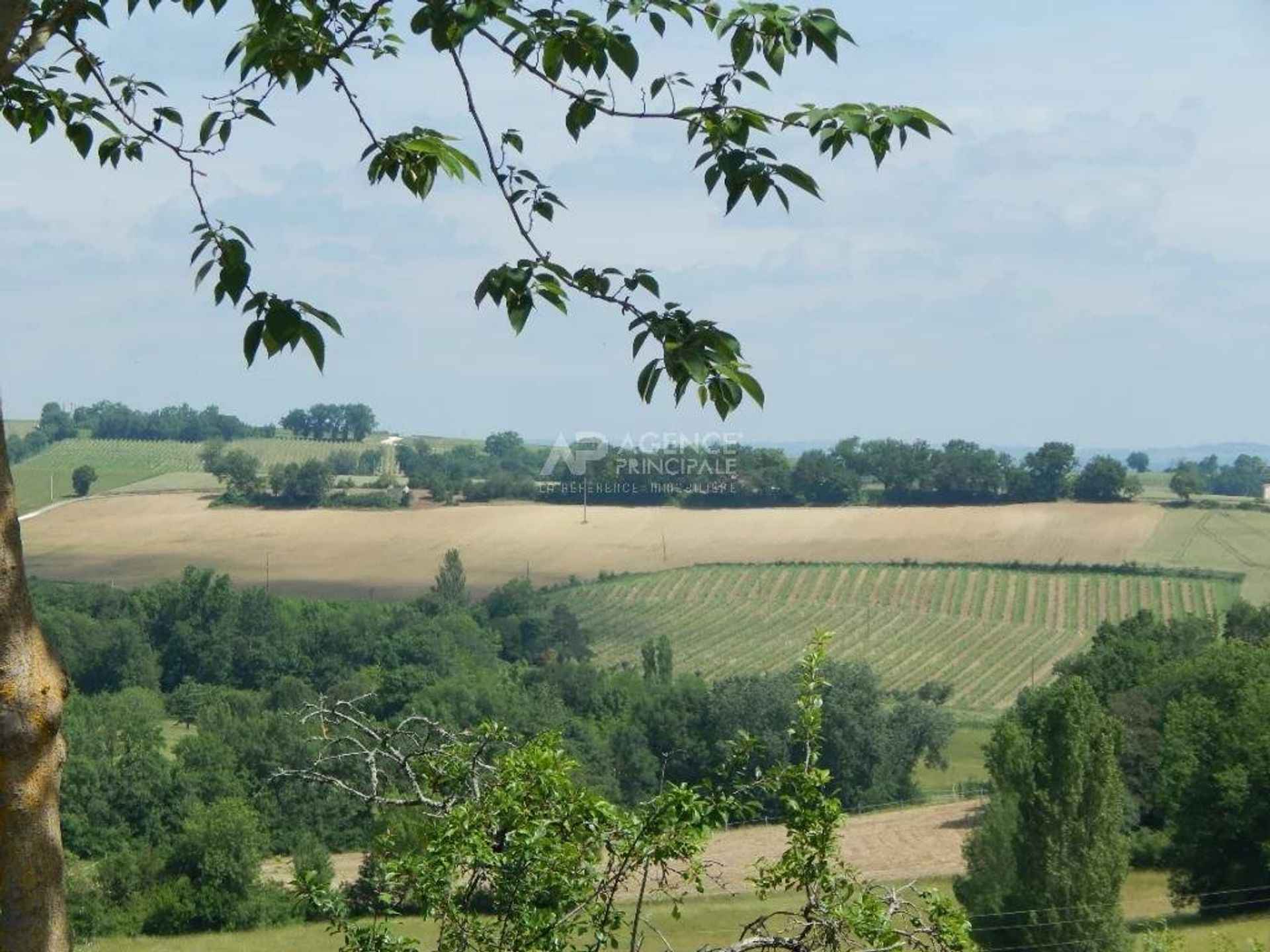 Hus i Larressingle, Occitanie 10817465