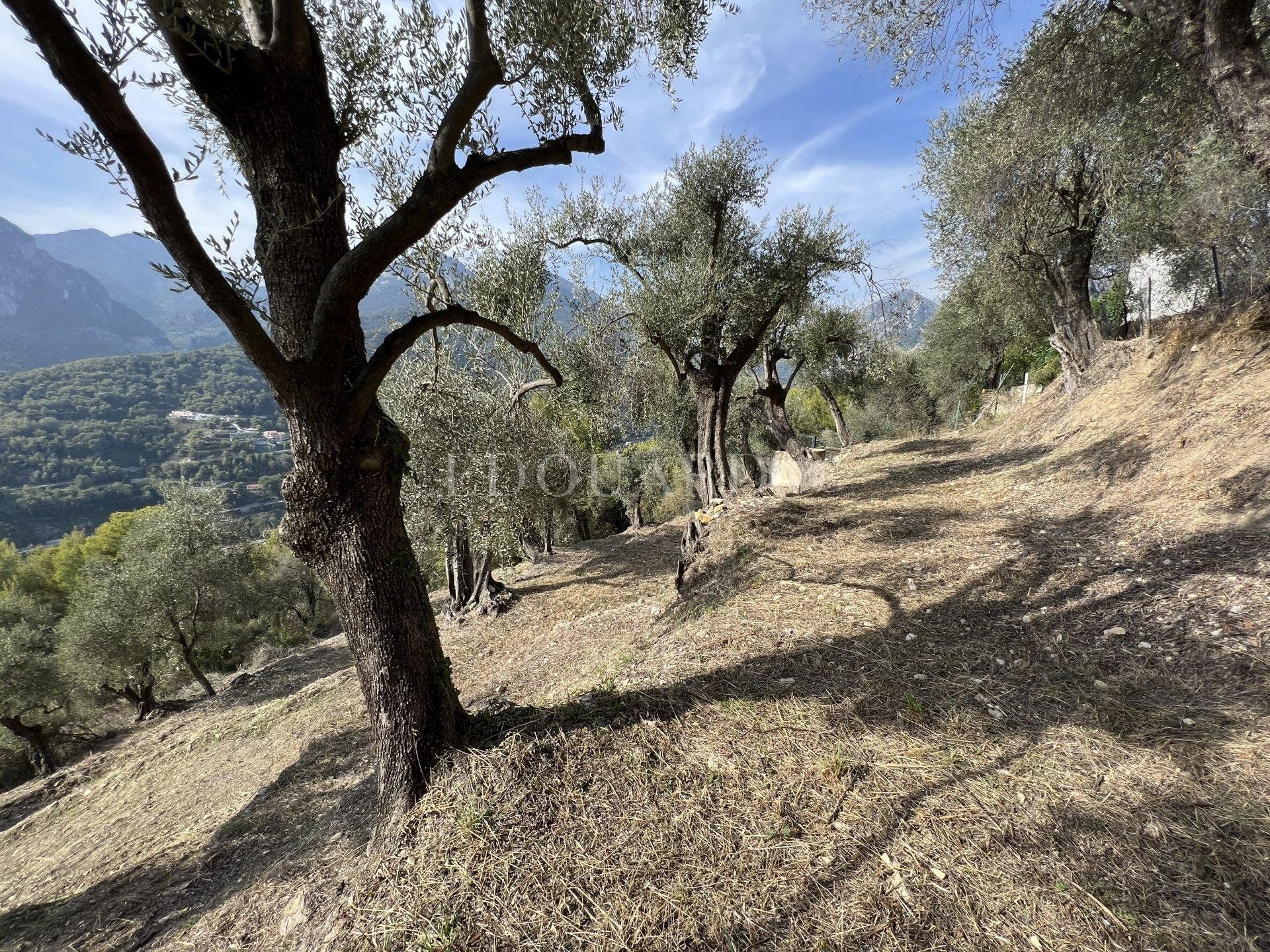 Useita taloja sisään Castellar, Alpes-Maritimes 10817839