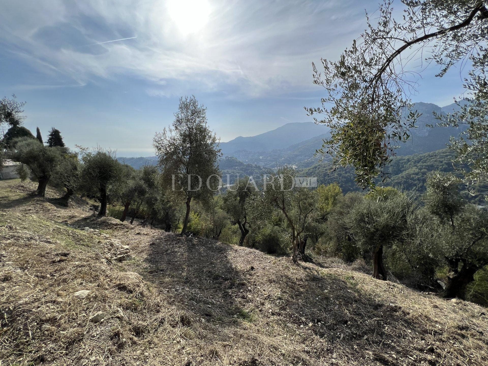 בתים מרובים ב Castellar, Alpes-Maritimes 10817847