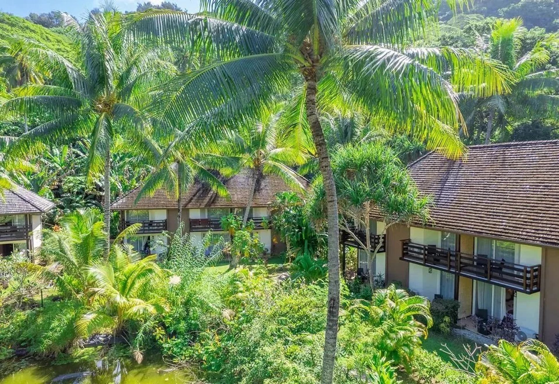 Autre dans Bora Bora, Îles Sous-le-Vent 10818033