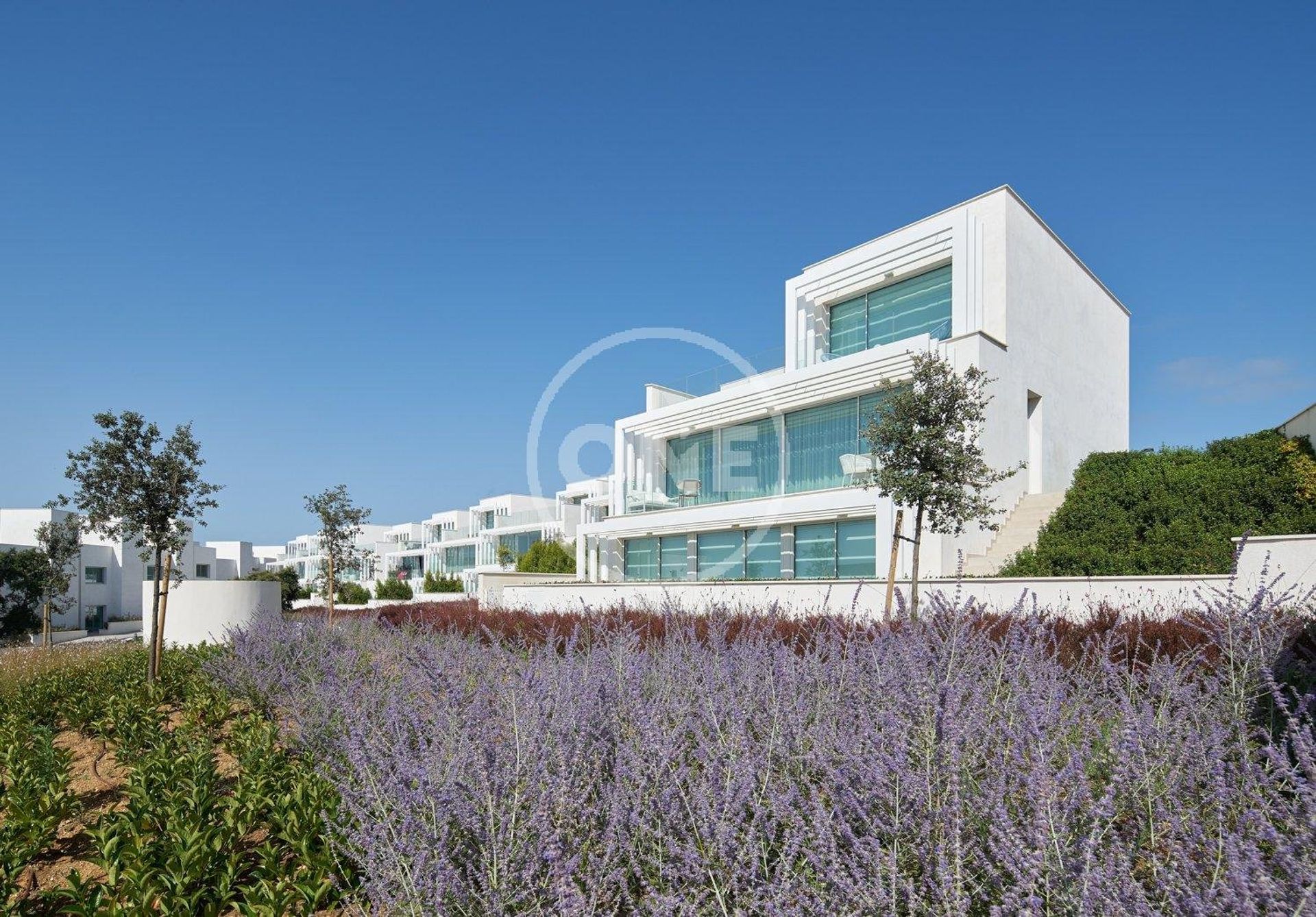 Multiple Houses in Sotogrande, Cádiz 10818240