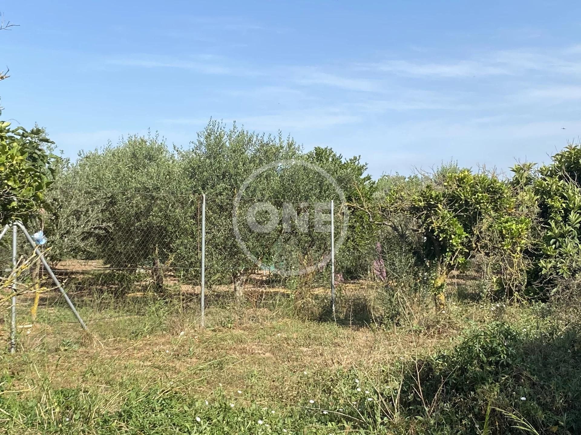 Land i Santa Águeda, Málaga 10818246