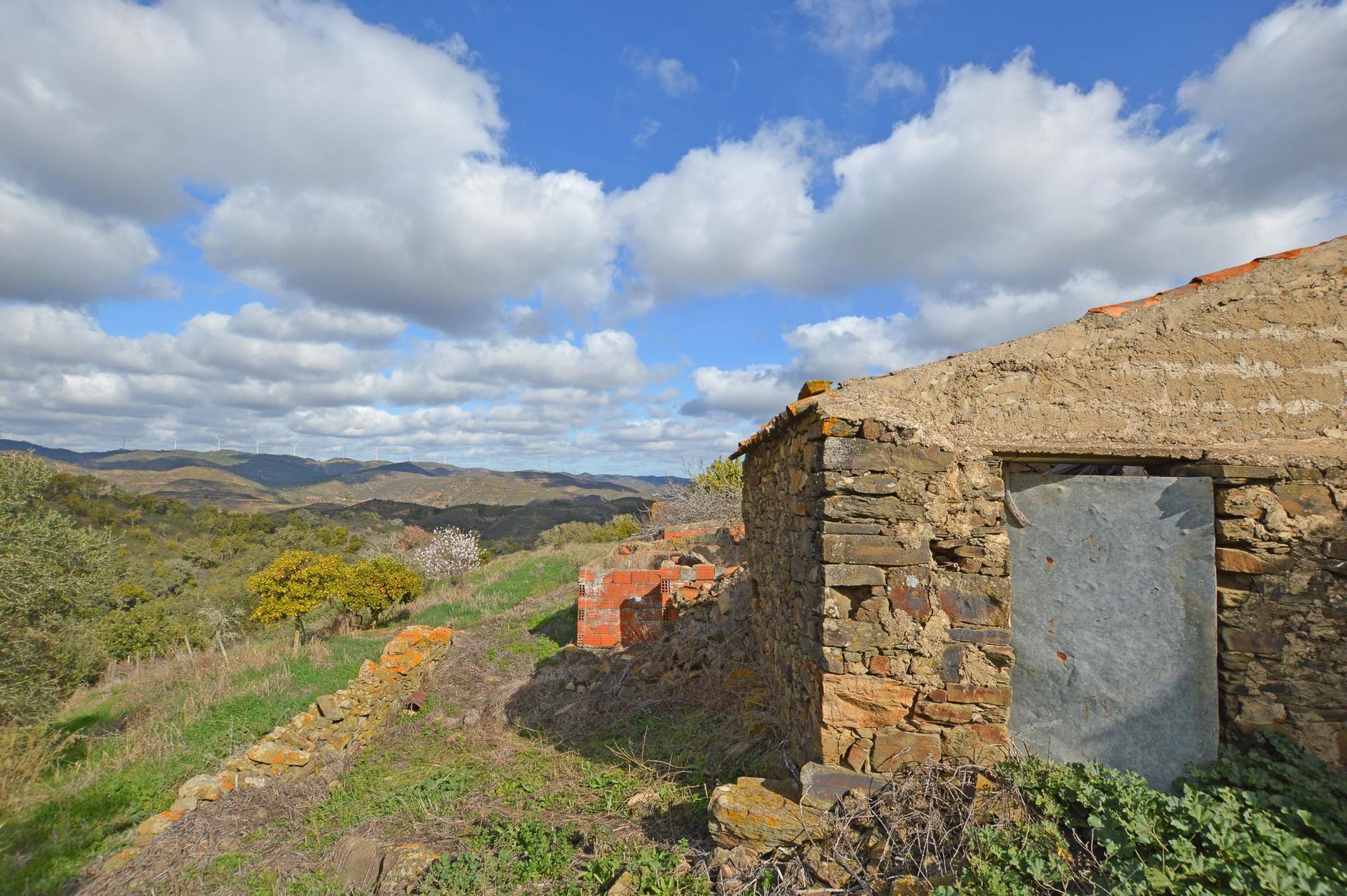 Haus im Faro, Faro 10819504