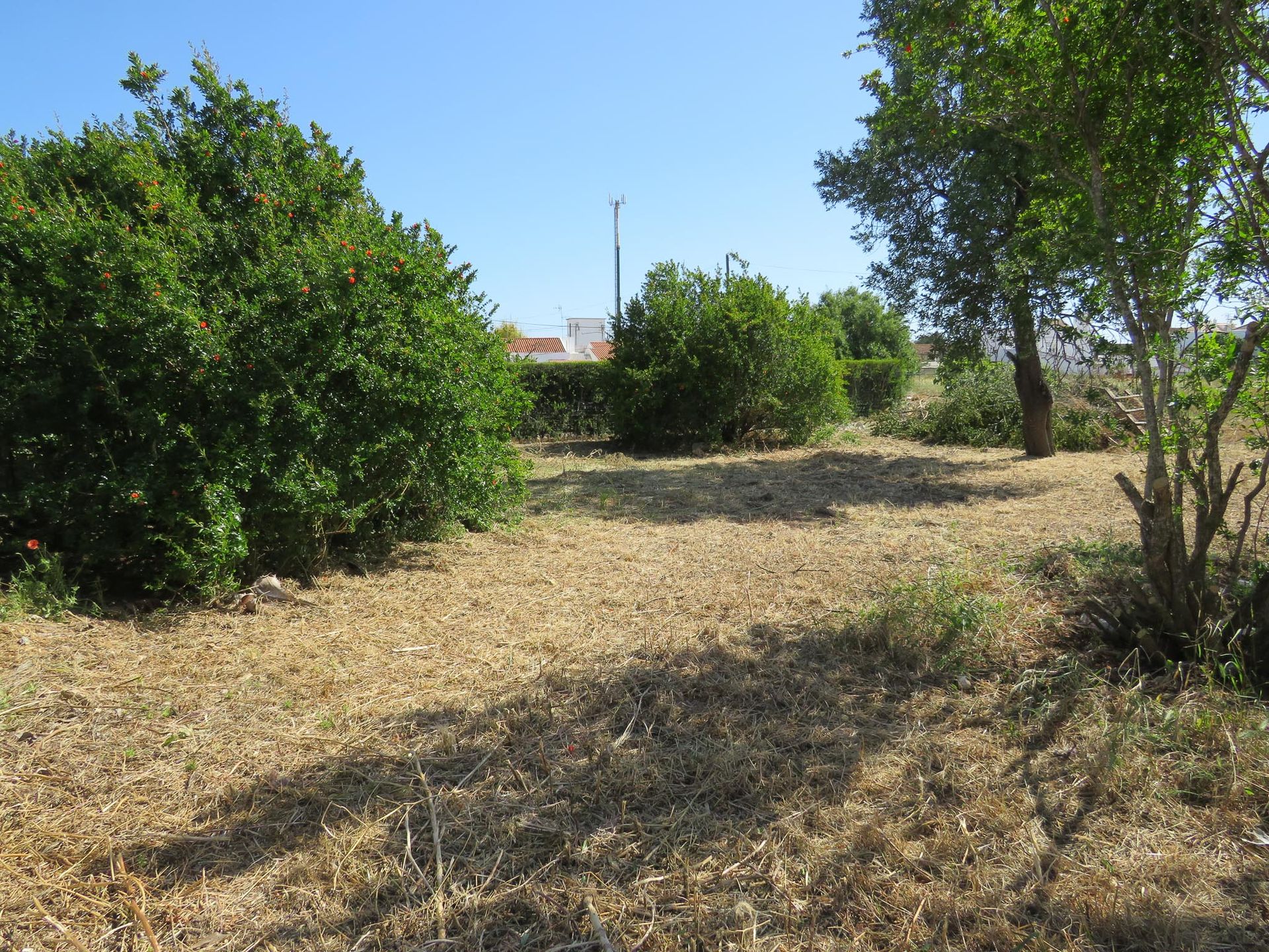 Hus i Faro, Faro 10819506