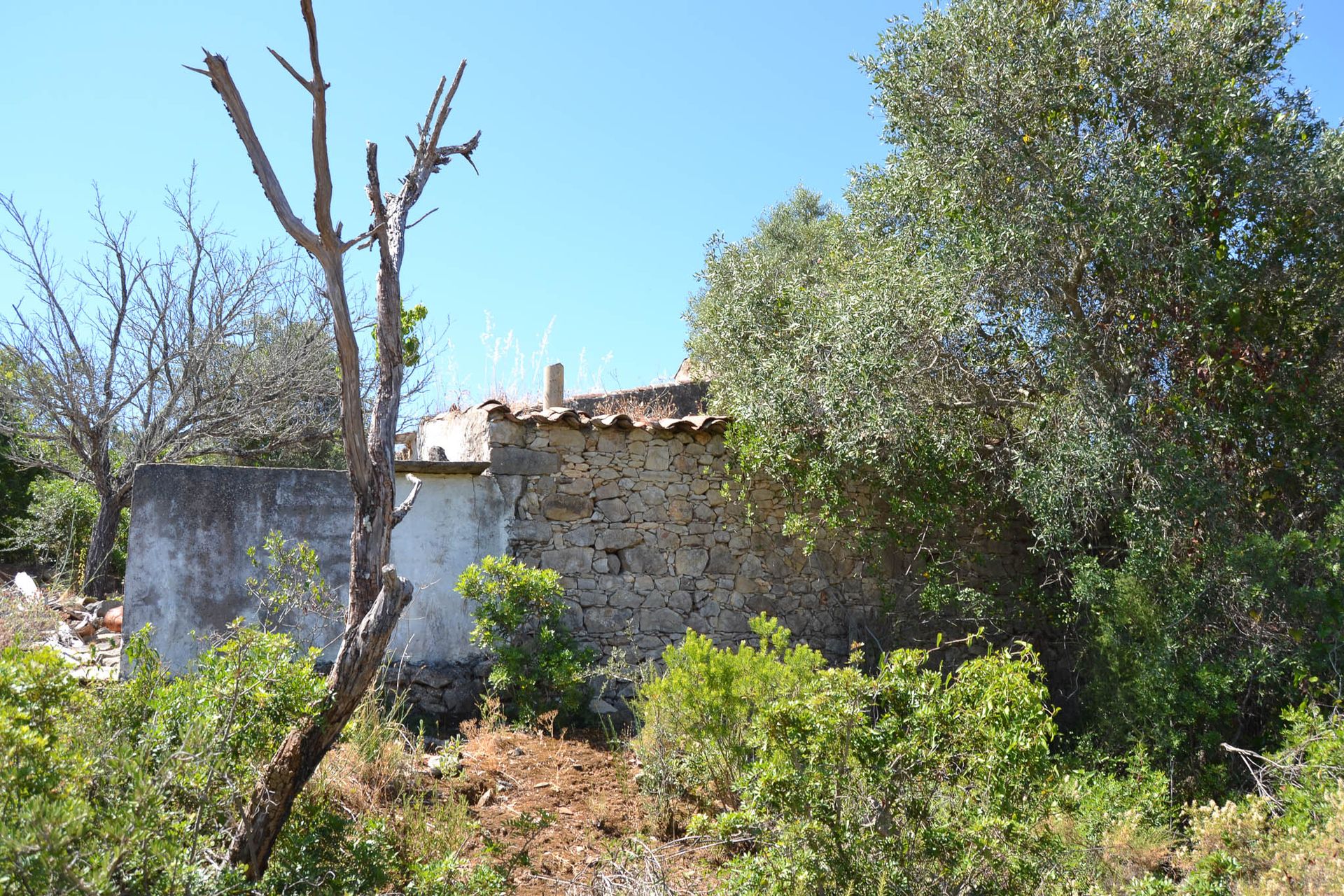 Γη σε Φαραώ, Φαραώ 10819509