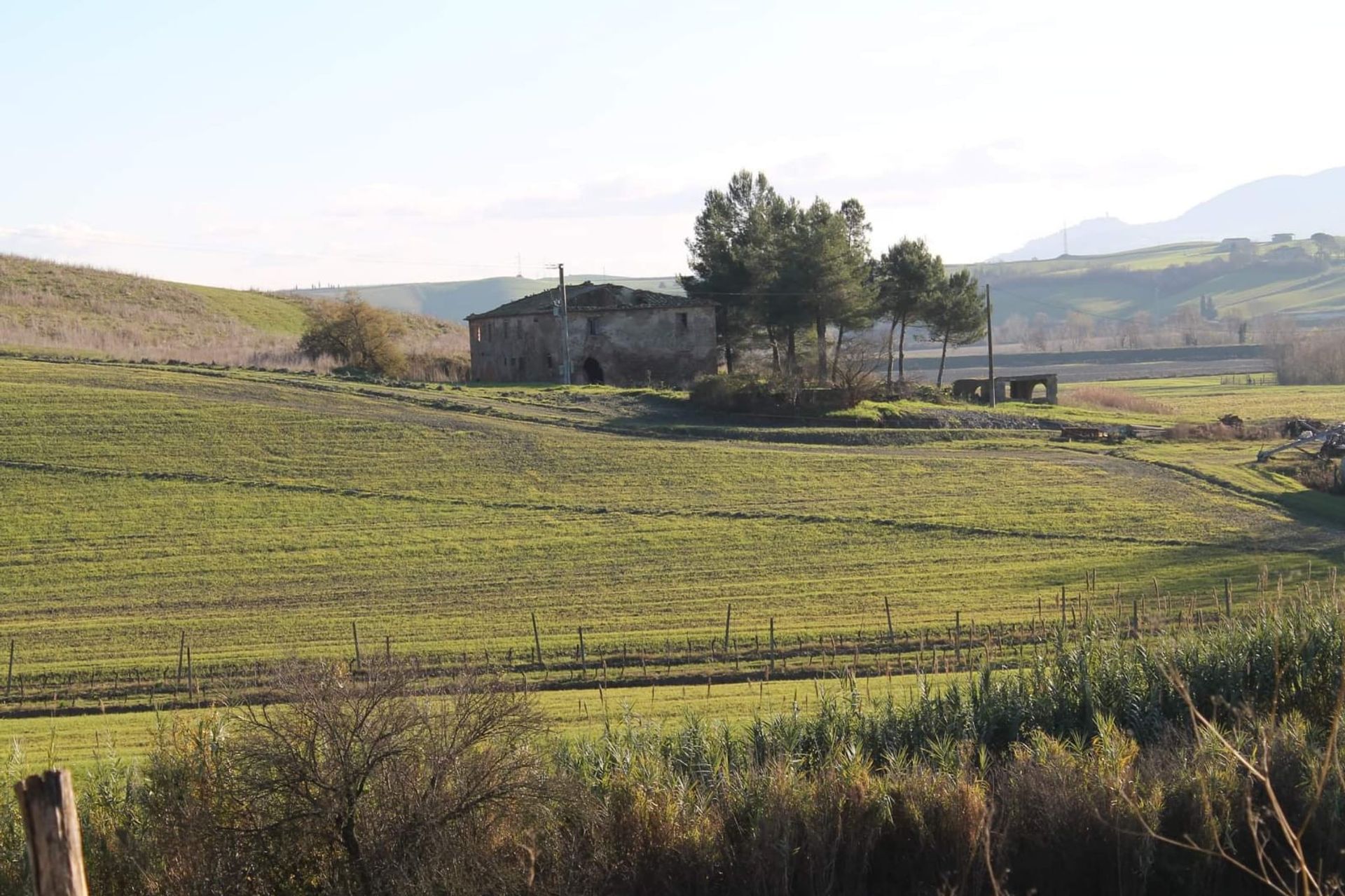 Huis in Laiatico, Toscane 10819719