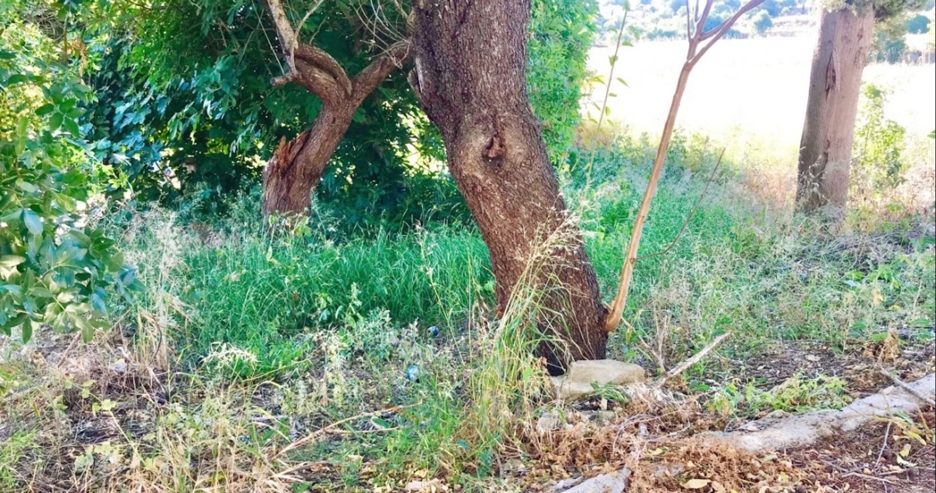 σπίτι σε Choulou, Paphos 10819739