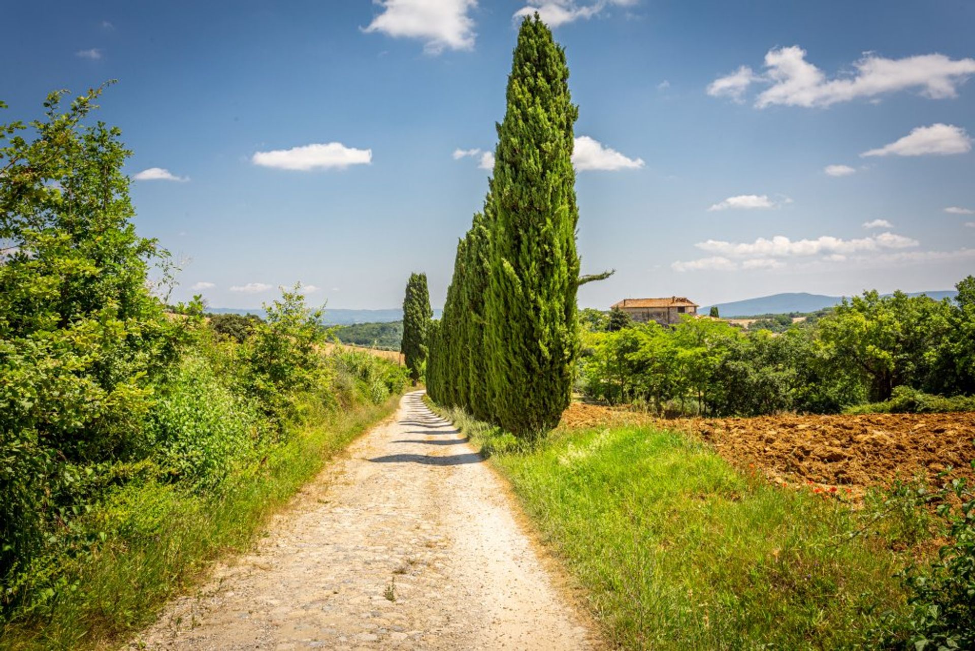 Kondominium dalam Colle di Val d'Elsa, Tuscany 10819748