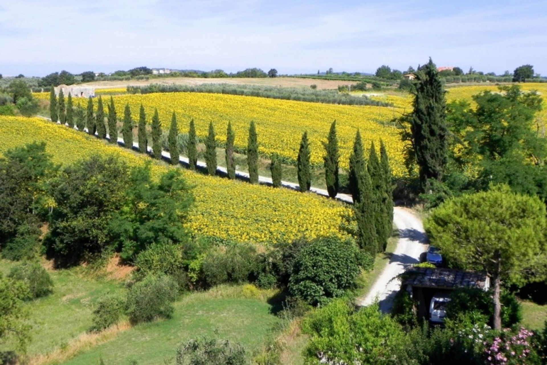 公寓 在 Colle di Val d'Elsa, Tuscany 10819748