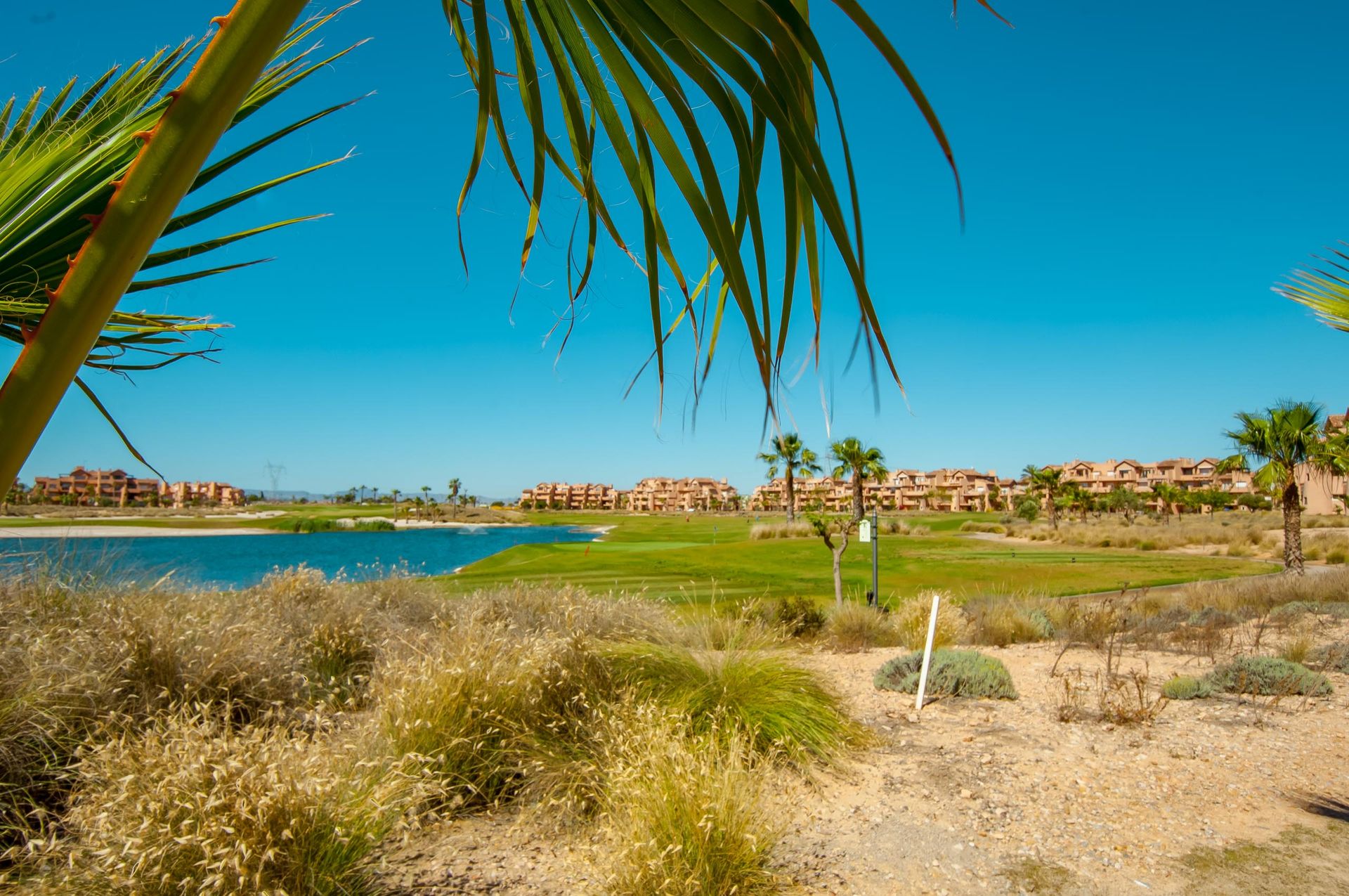 Condominium in Torre-Pacheco, Región de Murcia 10819822