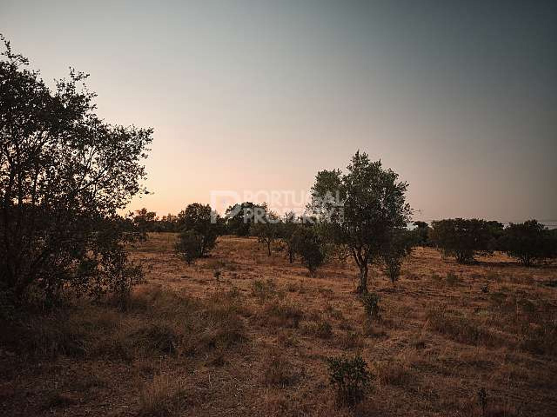 الأرض في Aldeia Nova do Concelho, Faro 10819950