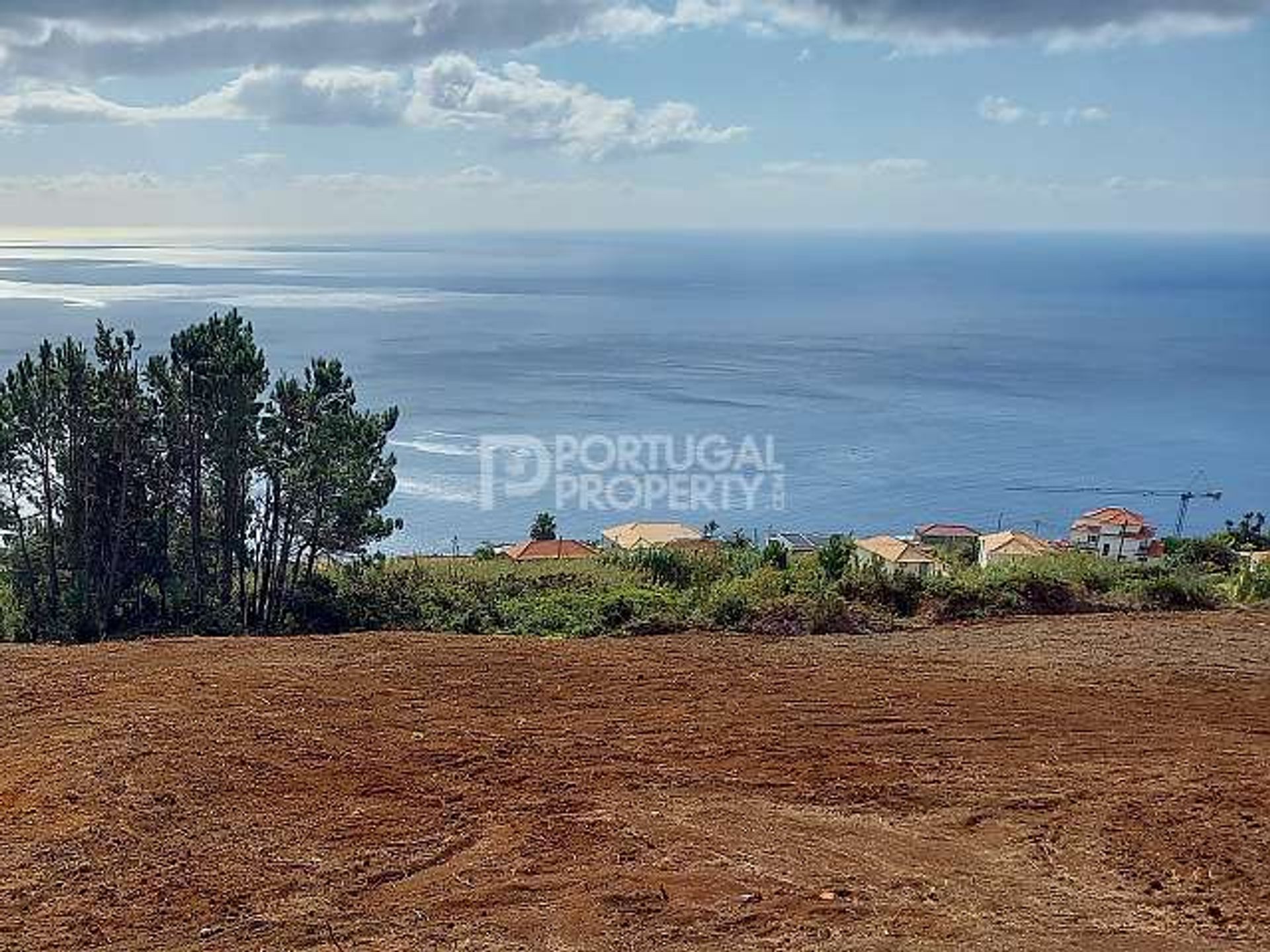 Terre dans Estreito da Calheta, Madeira 10820046