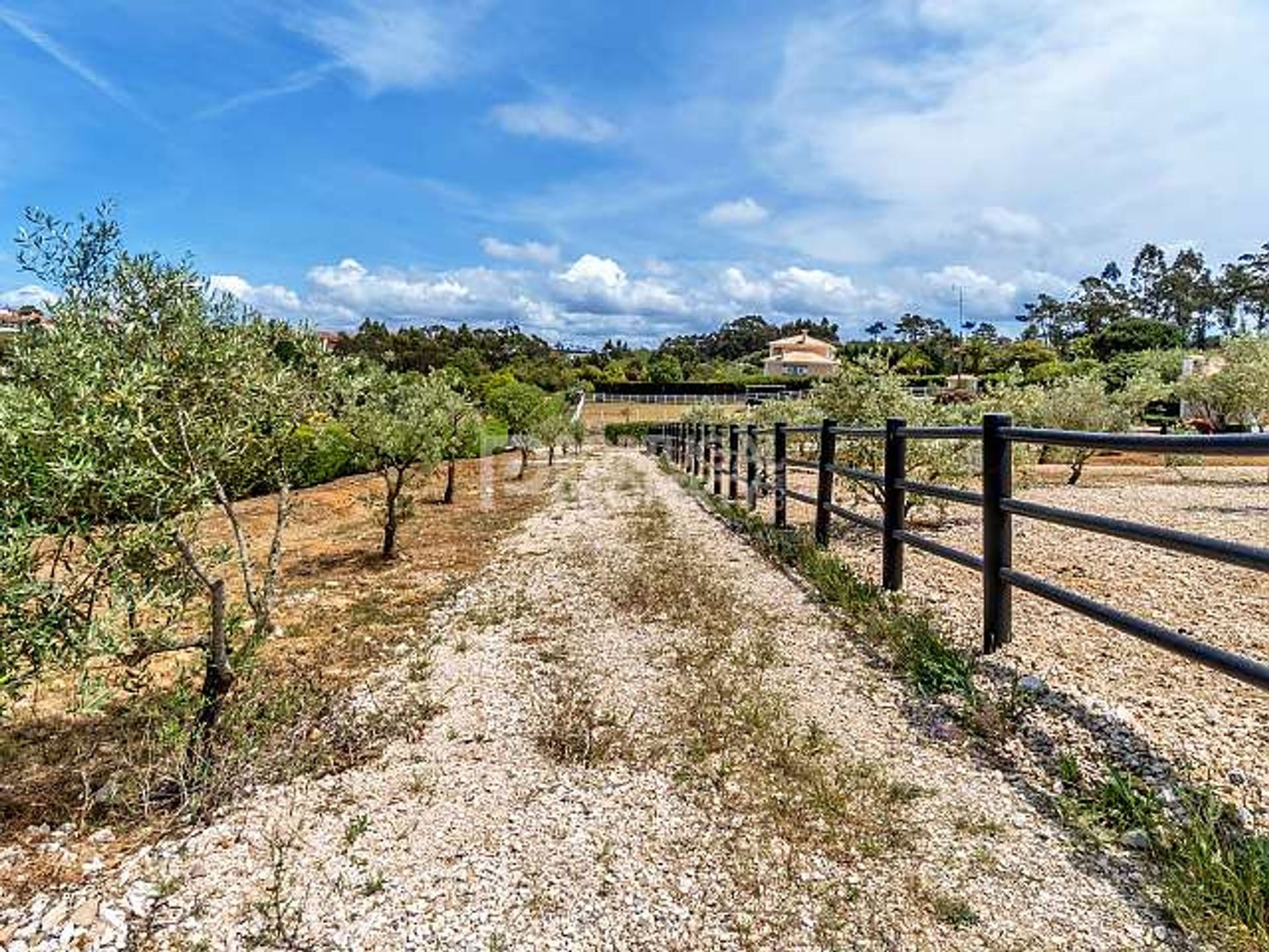 loger dans Mafra, Lisboa 10820330