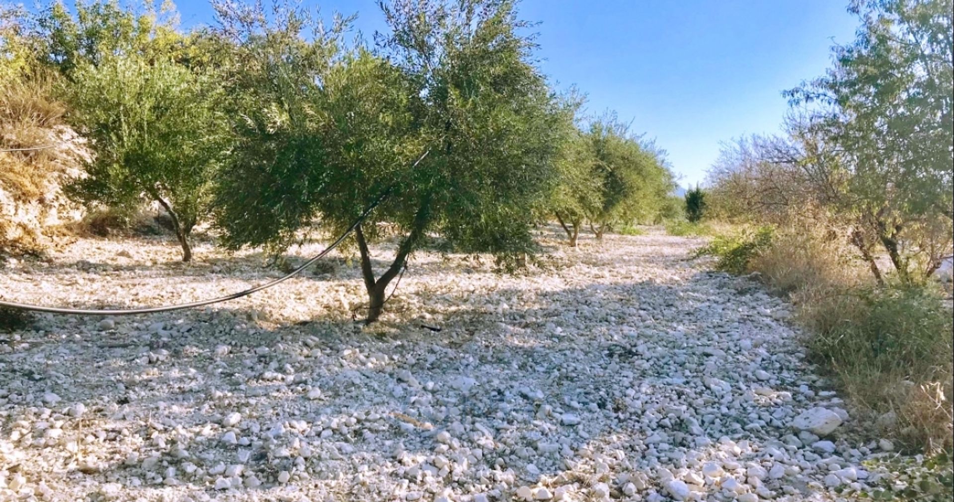 Casa nel Mosfiloti, Larnaca 10820378