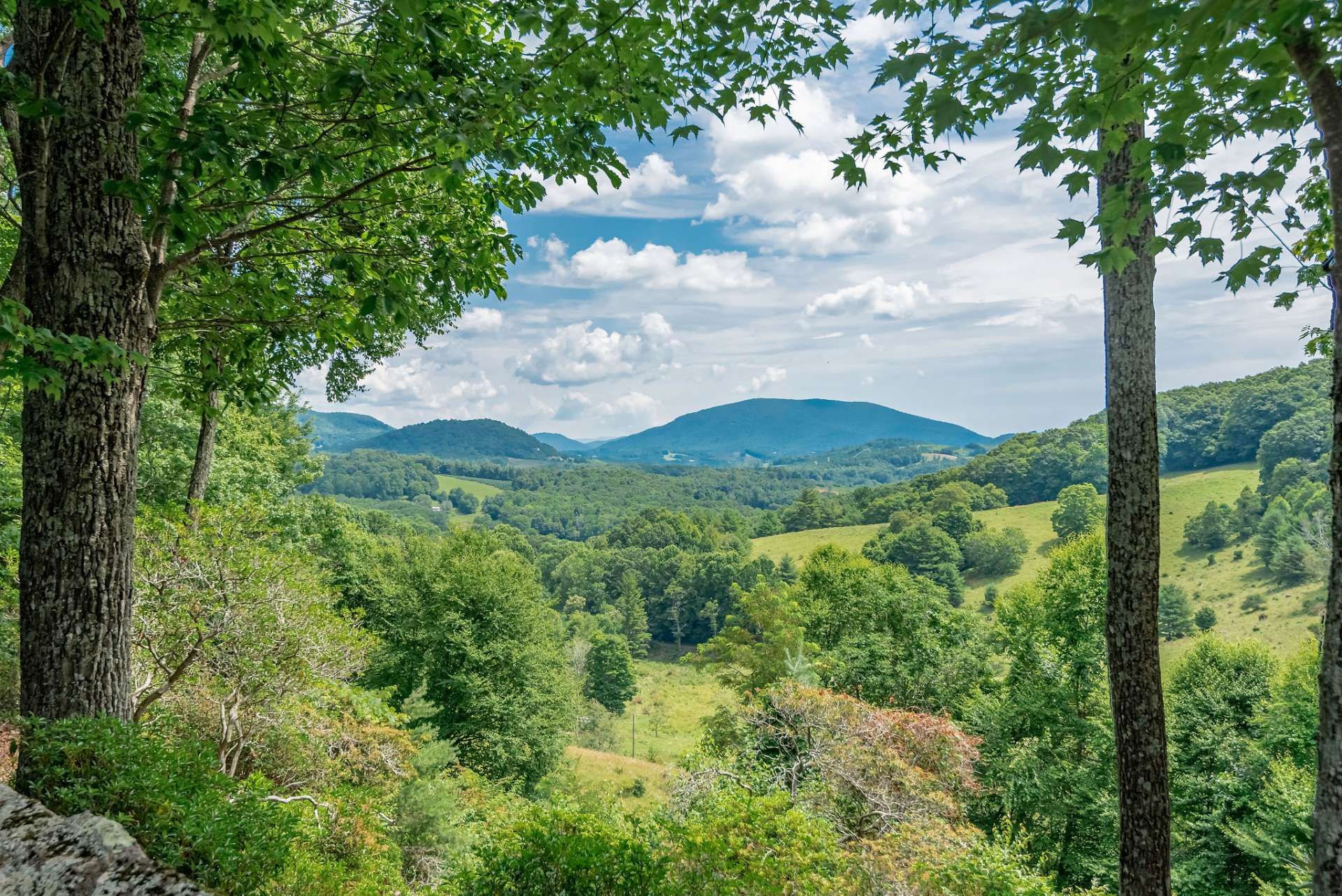 casa no Baldwin, North Carolina 10820467