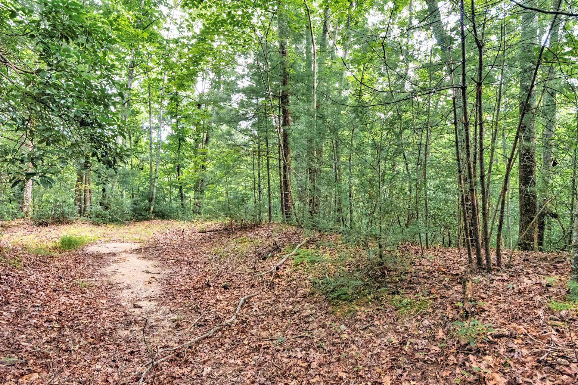 सम्मिलित में Millers Creek, North Carolina 10820513