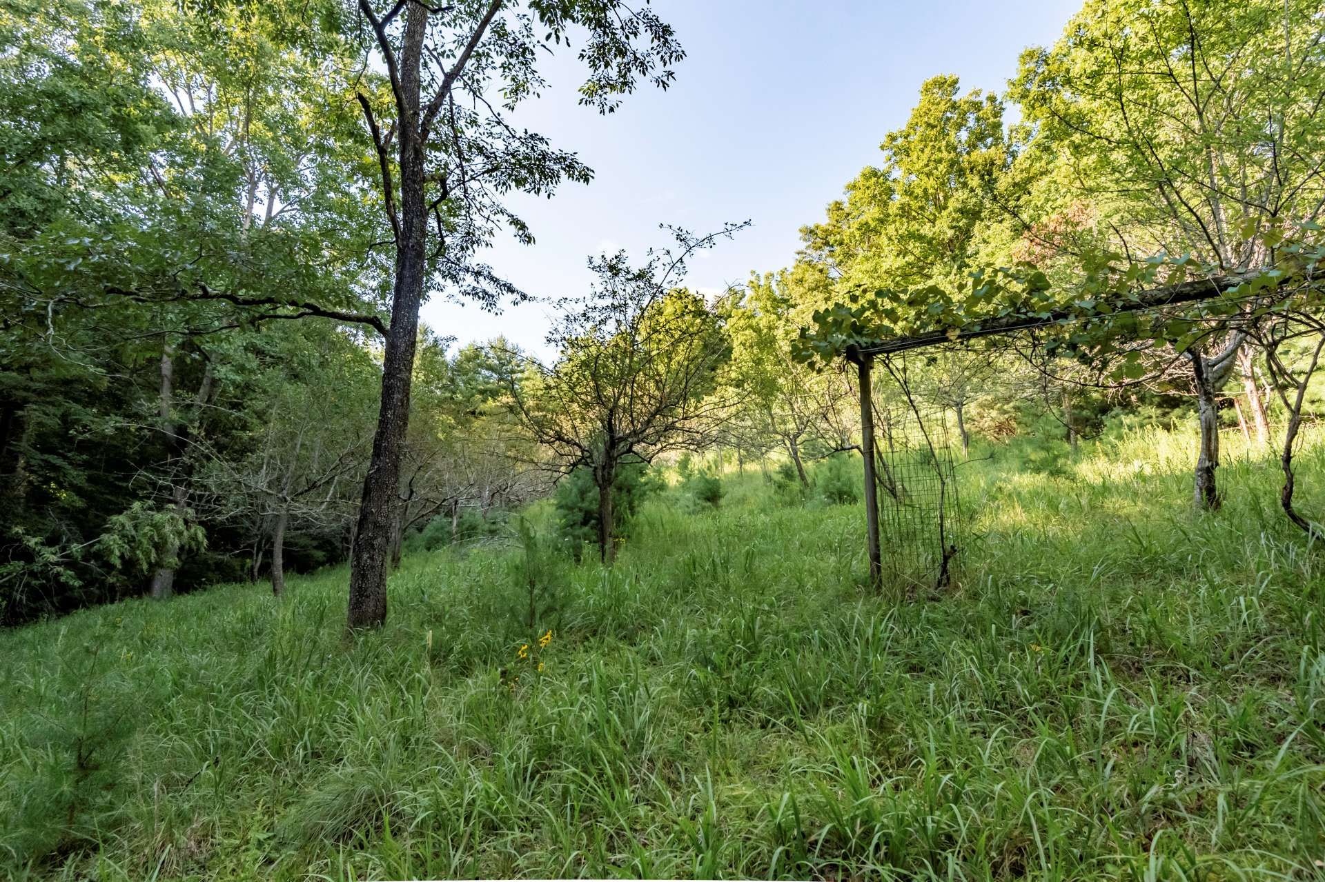 Eigentumswohnung im Millers Creek, North Carolina 10820513