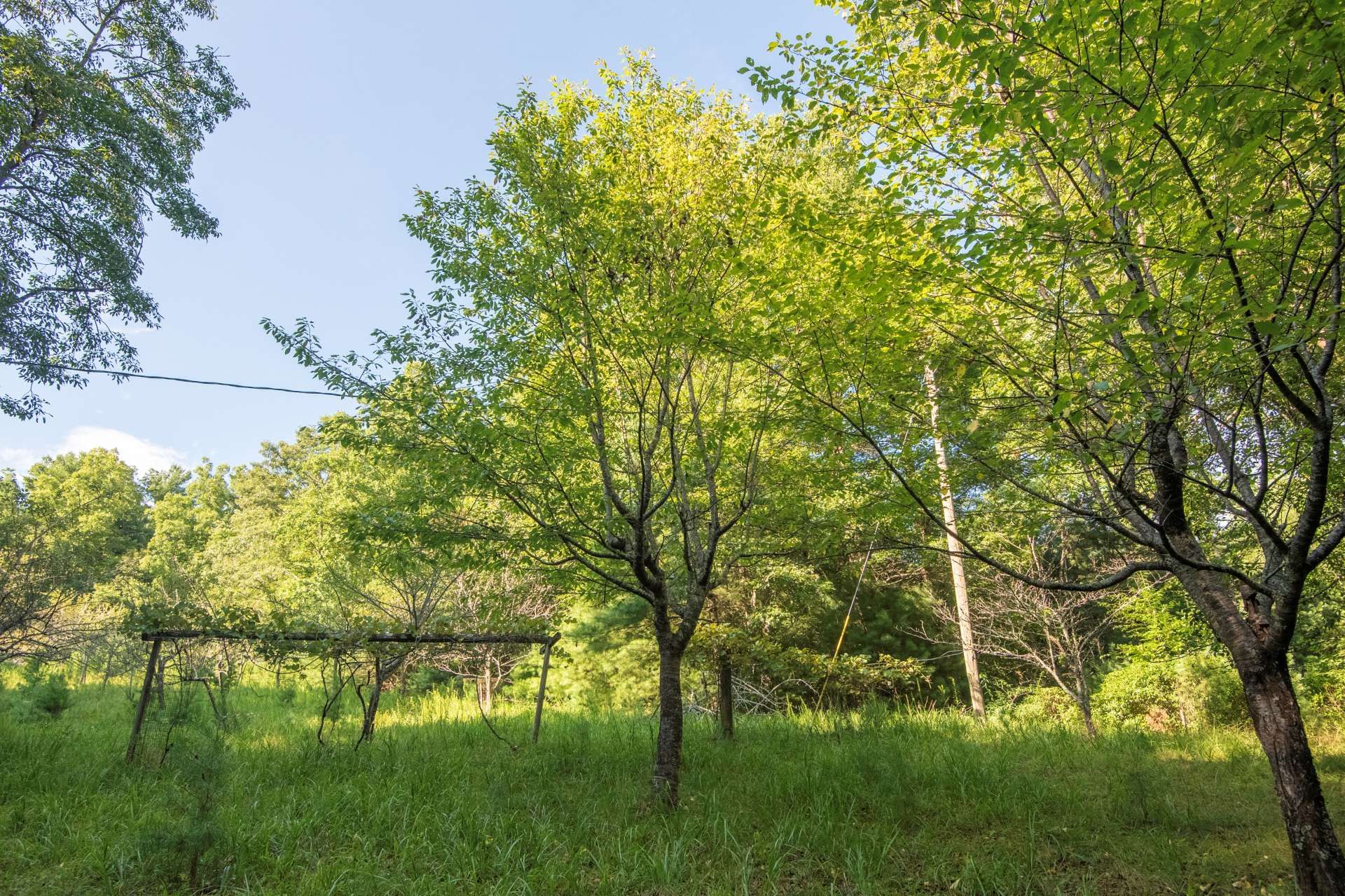 Condominium in Millers Creek, North Carolina 10820513