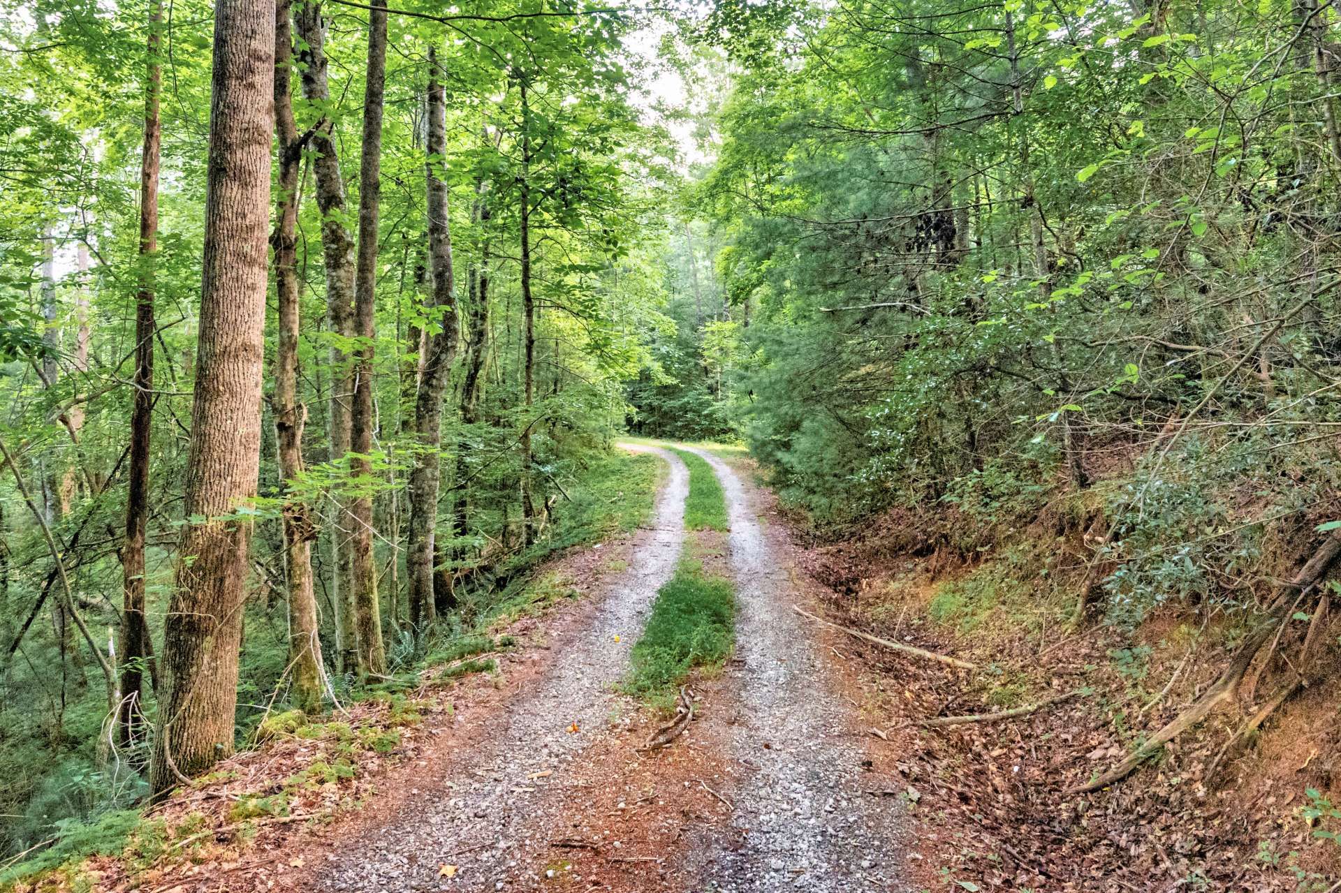 सम्मिलित में Millers Creek, North Carolina 10820513