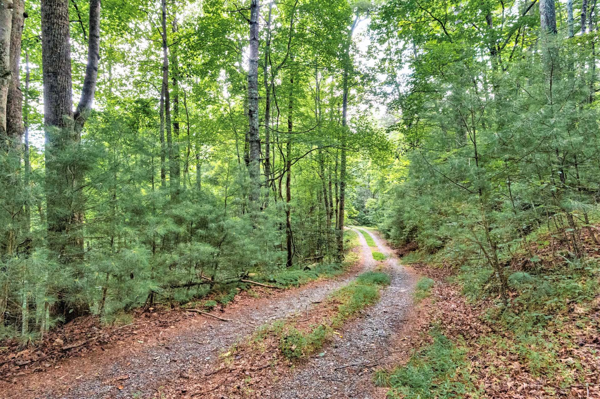 분양 아파트 에 Millers Creek, North Carolina 10820513