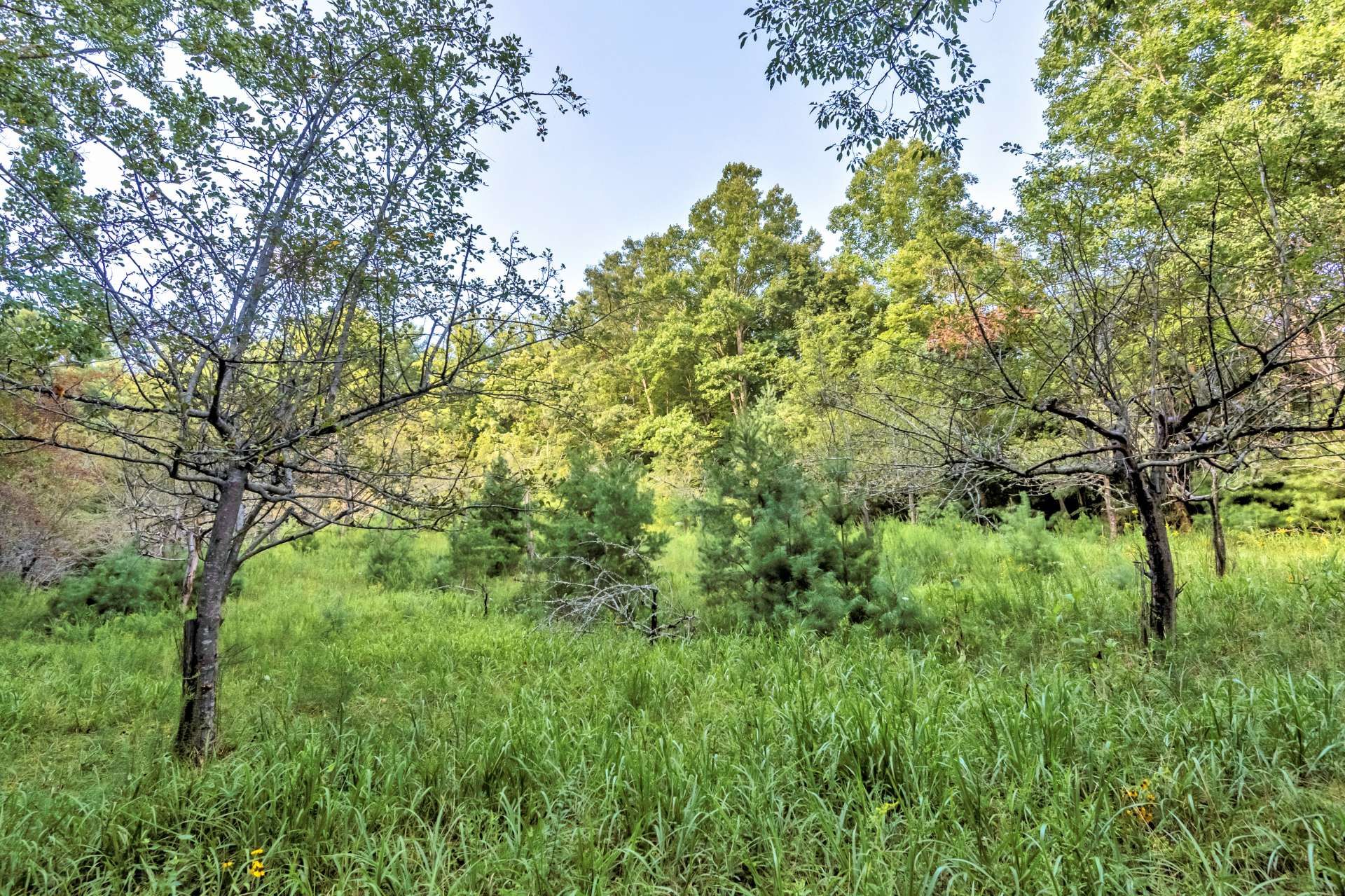 Condominium in Millers Creek, North Carolina 10820513